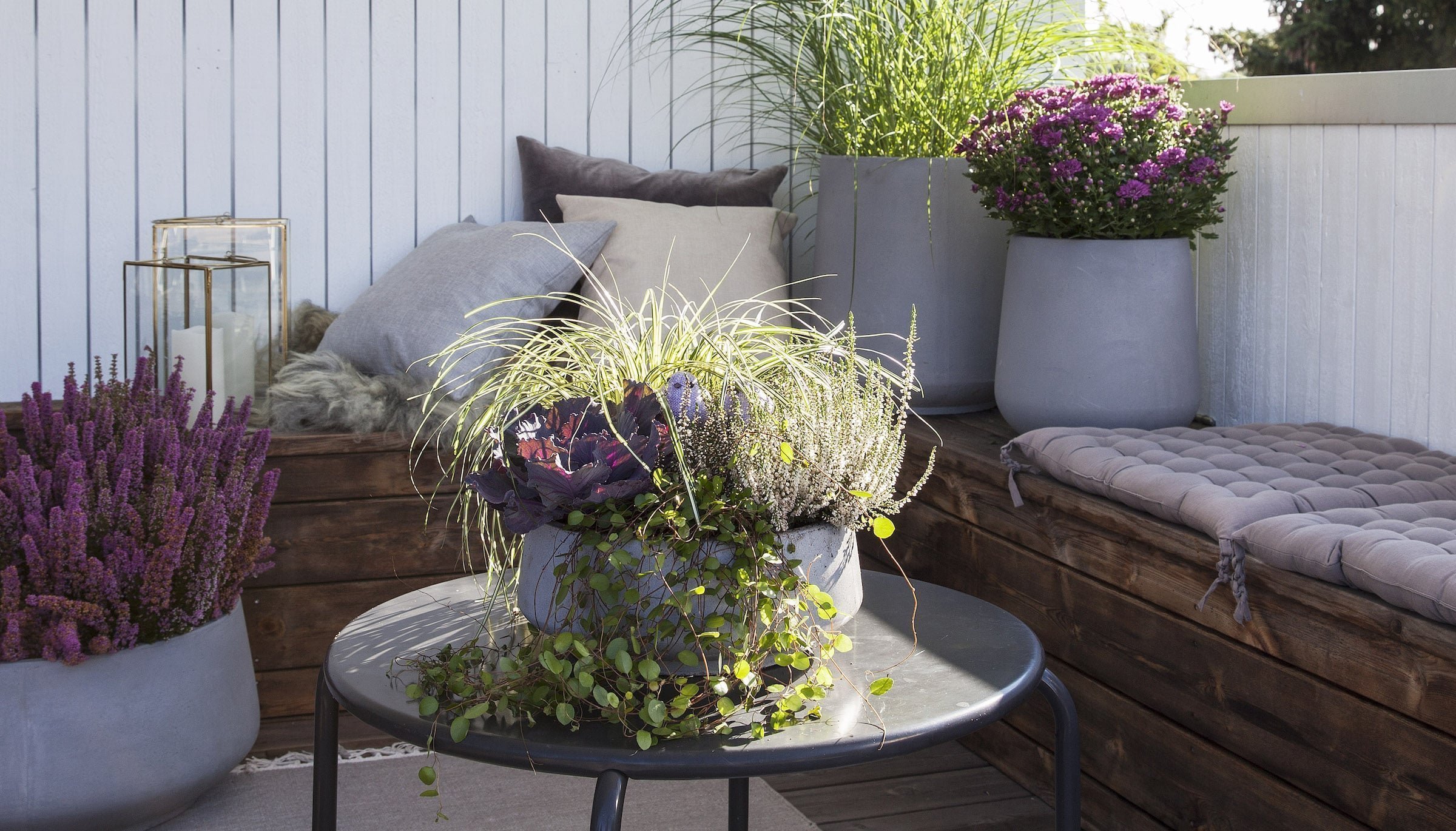 Barevné truhlíky plné mrazuvzdorných rostlin