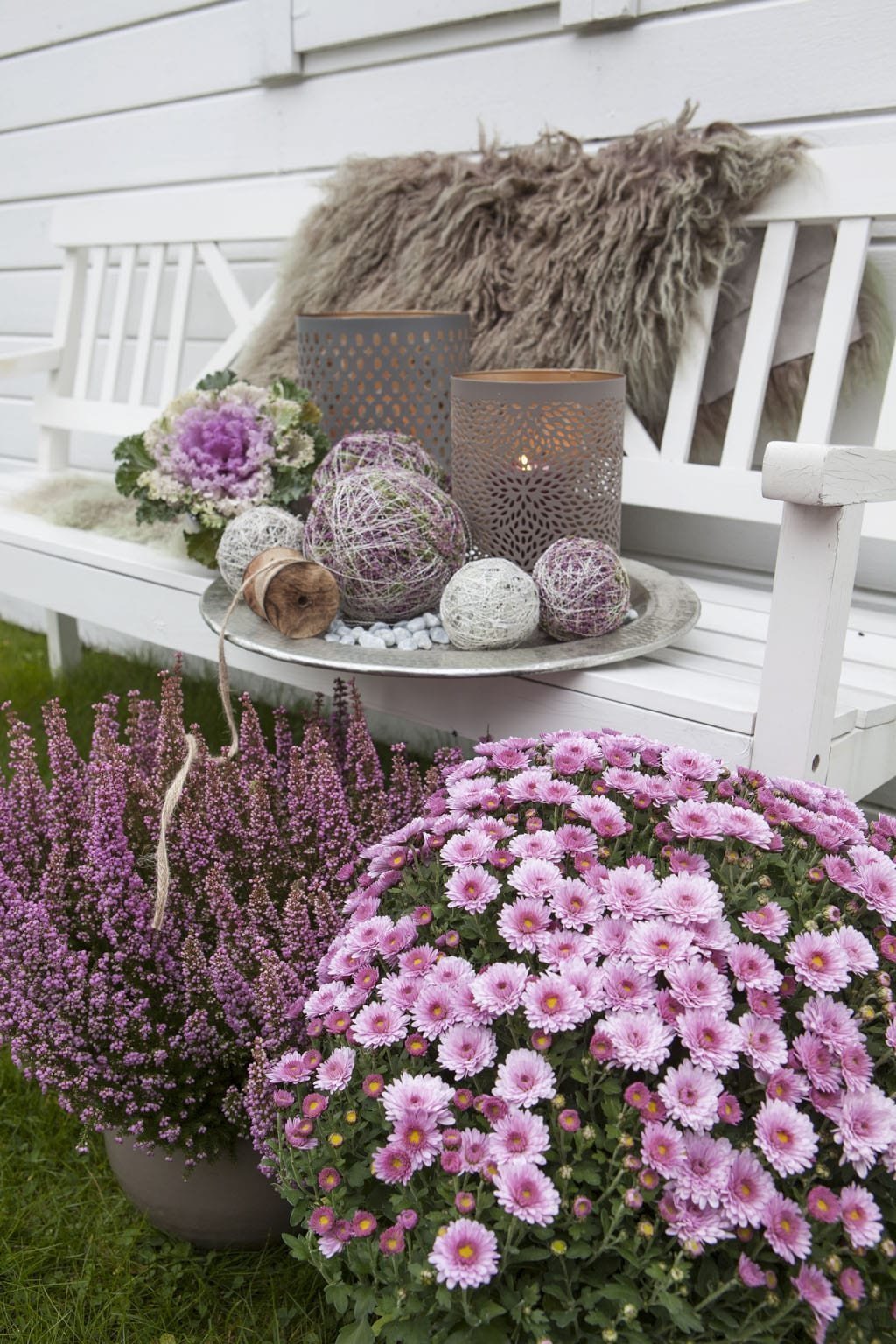 Barevné truhlíky plné mrazuvzdorných rostlin