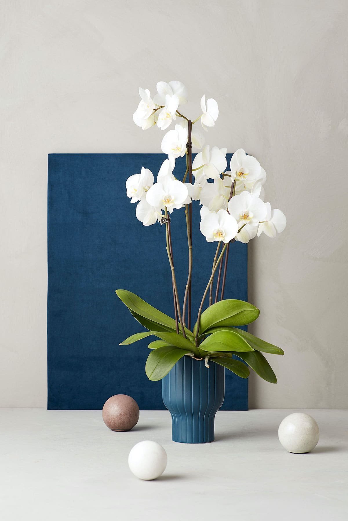 Barvou roku 2020 - classic blue