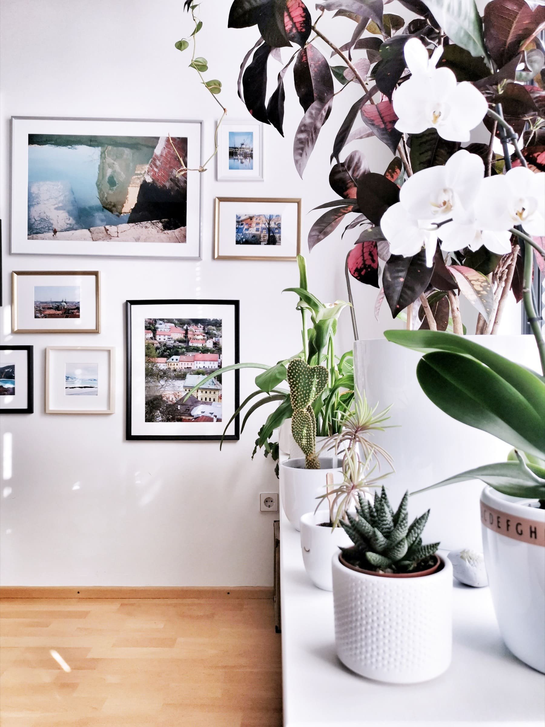 Blogerka Lucie a její kreativní bydlení v podkroví plném nápadů