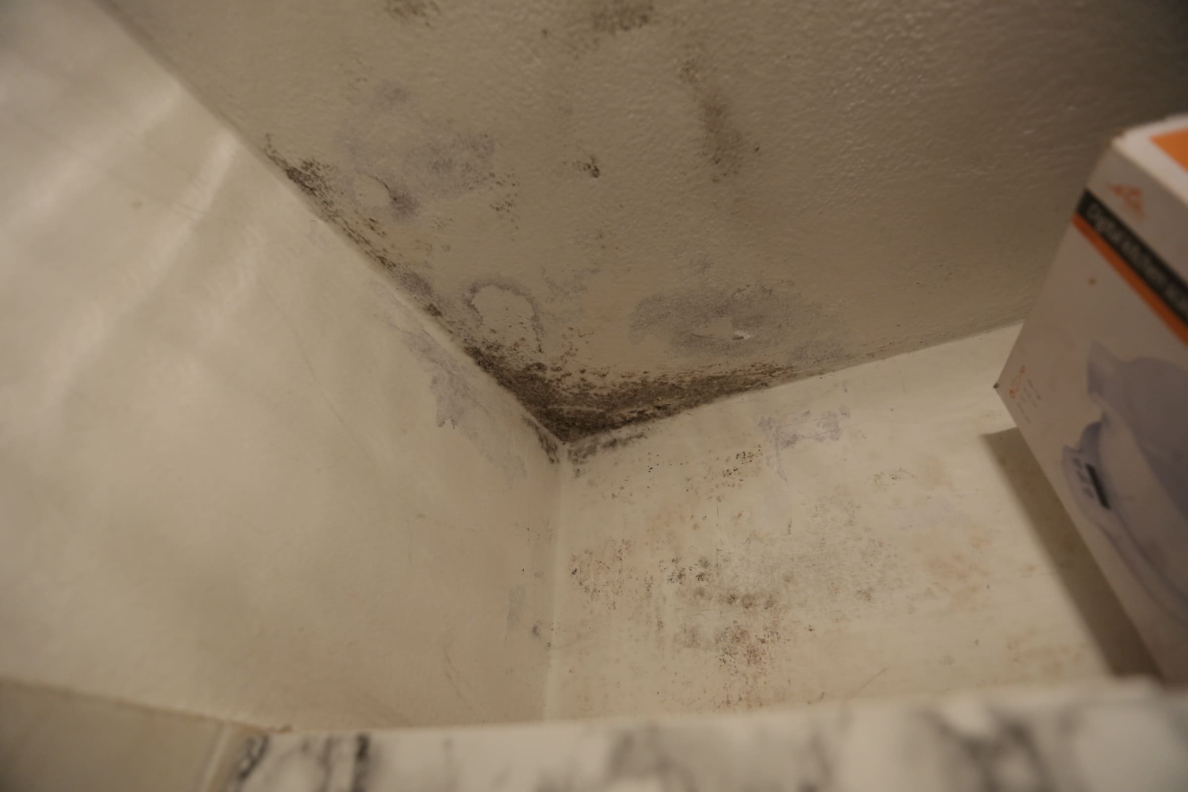 Boj s plísní a proměna skoro celého bytu