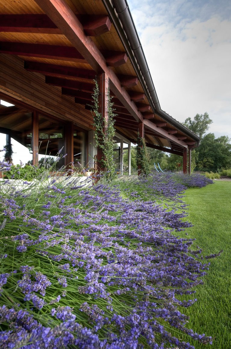 Bydlení v nízkoenergetické stavbě poblíž Malého Dunaje
