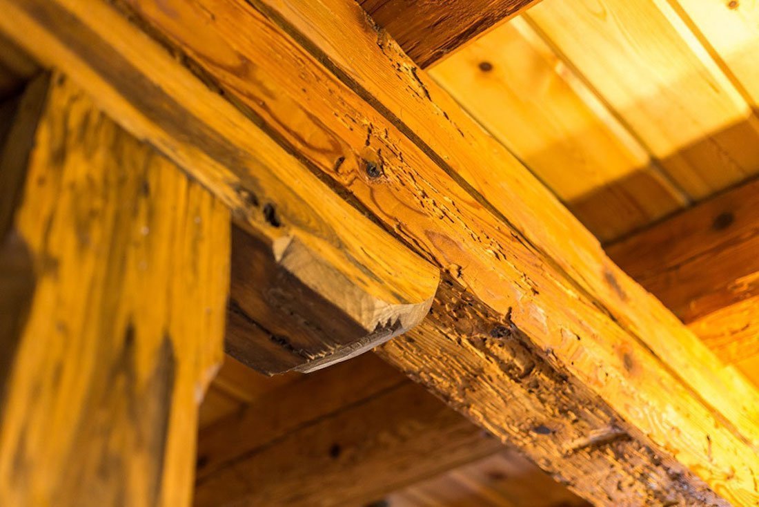 Namísto dřevostavby bydlí ve zrekonstruované sýpce