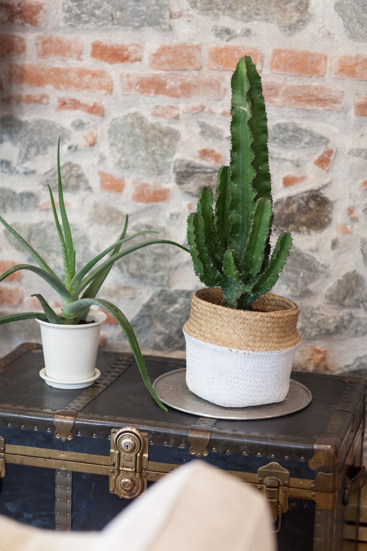 Chalupa s venkovským šarmem