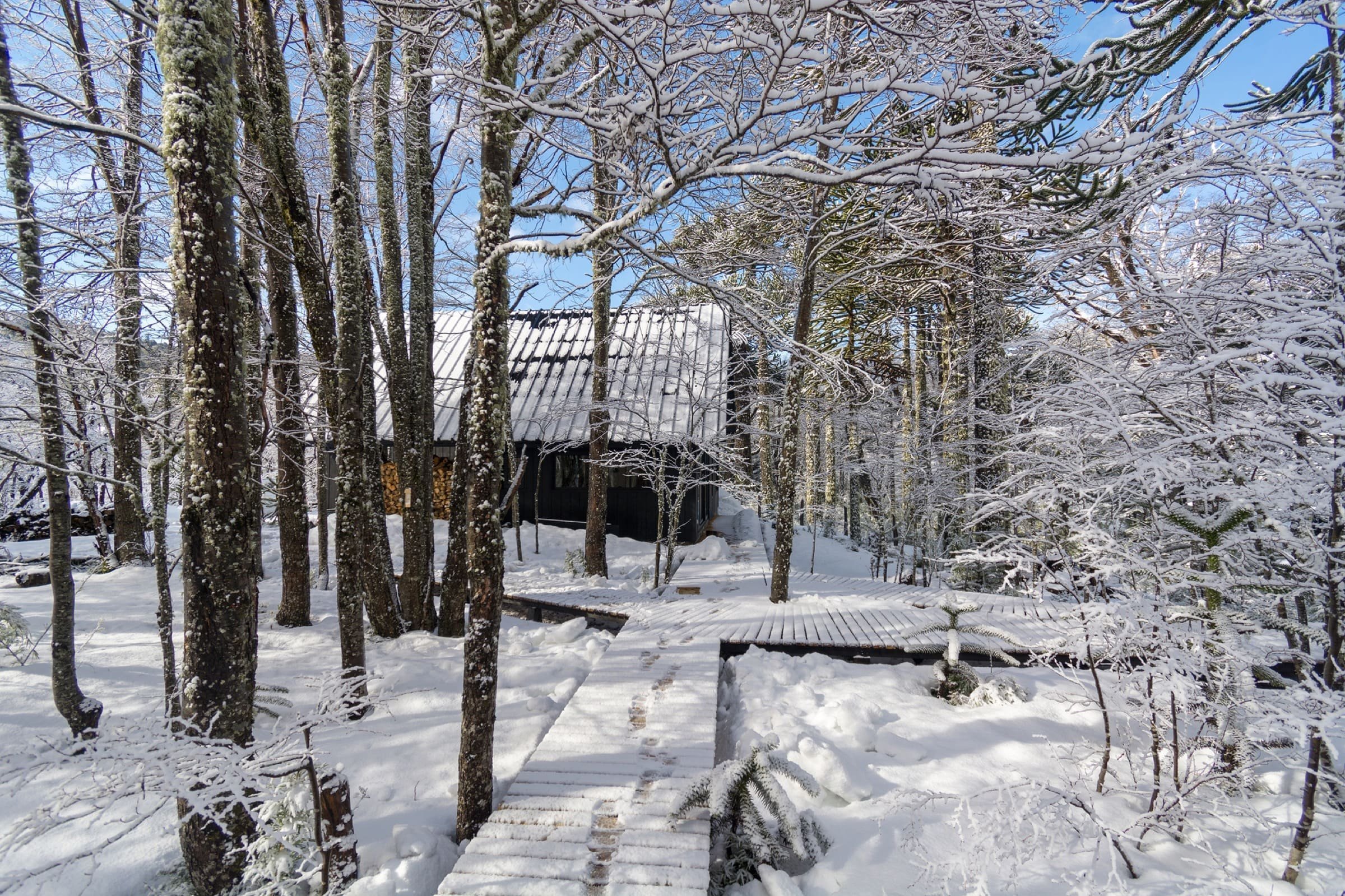 Chata uprostřed zasněženého lesa