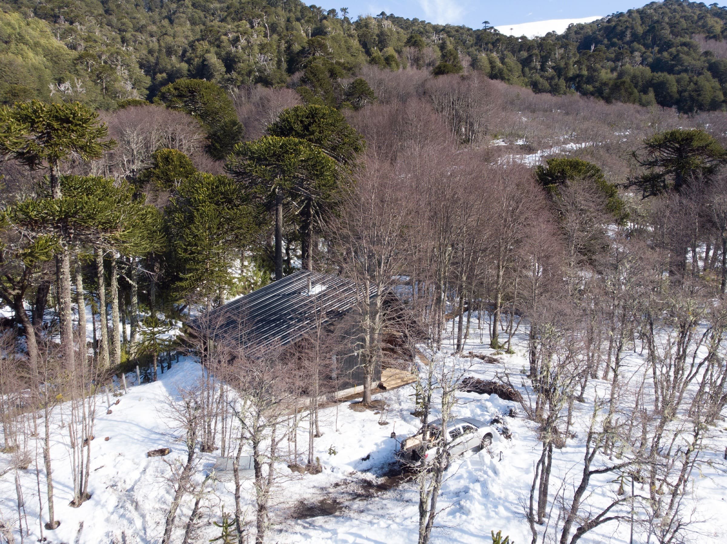Chata uprostřed zasněženého lesa
