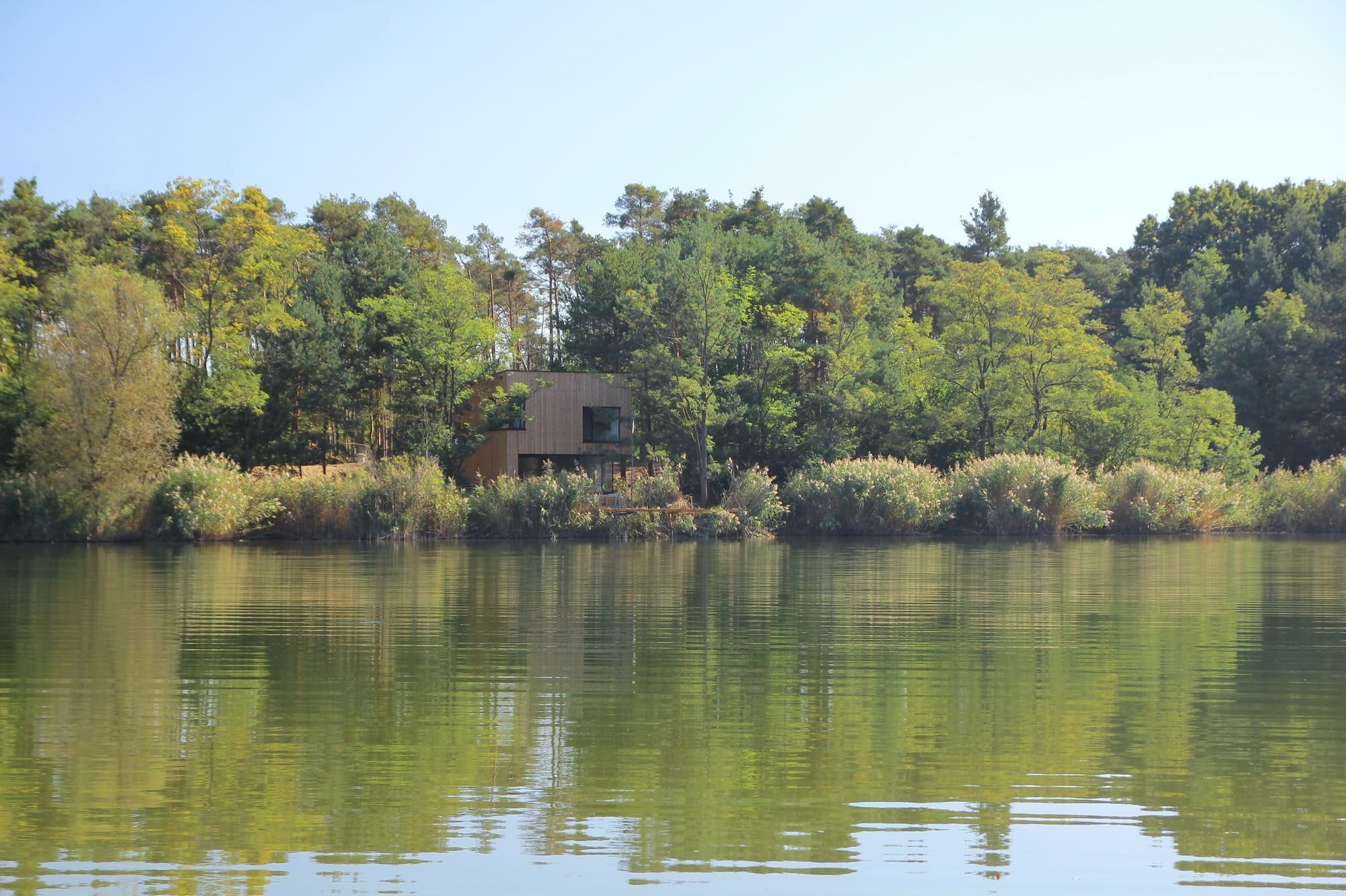 Chata v borovicovém lese na břehu jezera