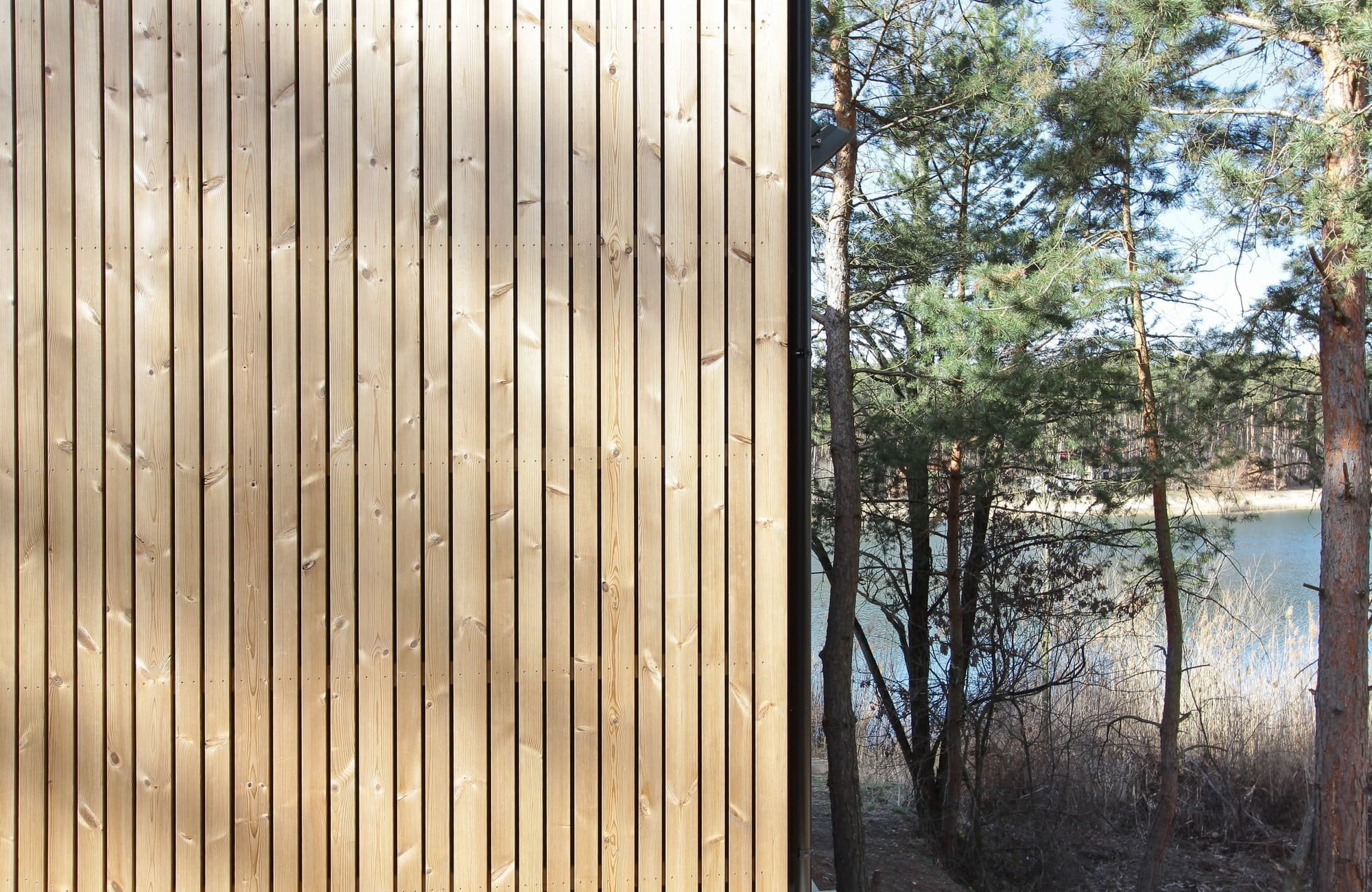 Chata v borovicovém lese na břehu jezera