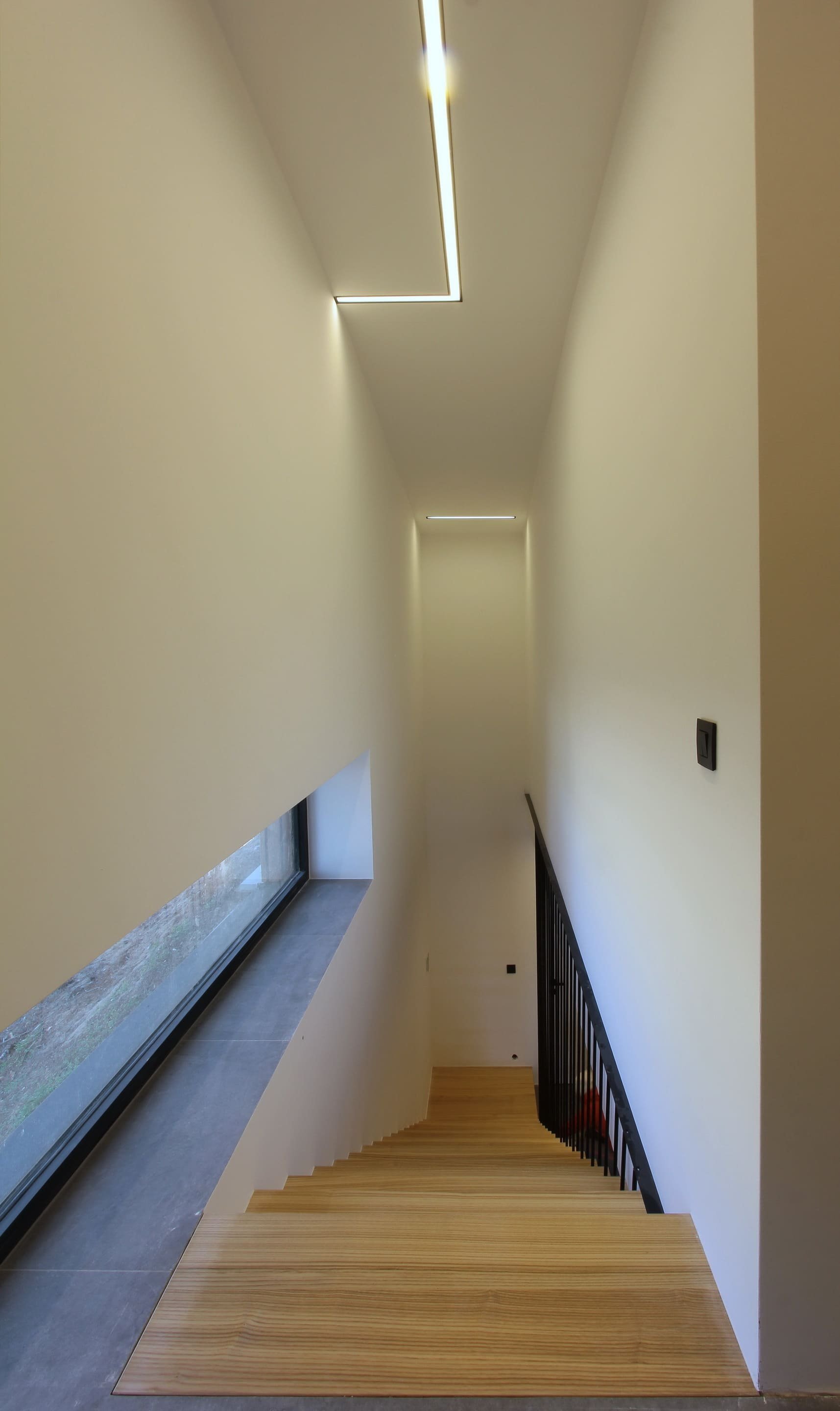 Chata v borovicovém lese na břehu jezera