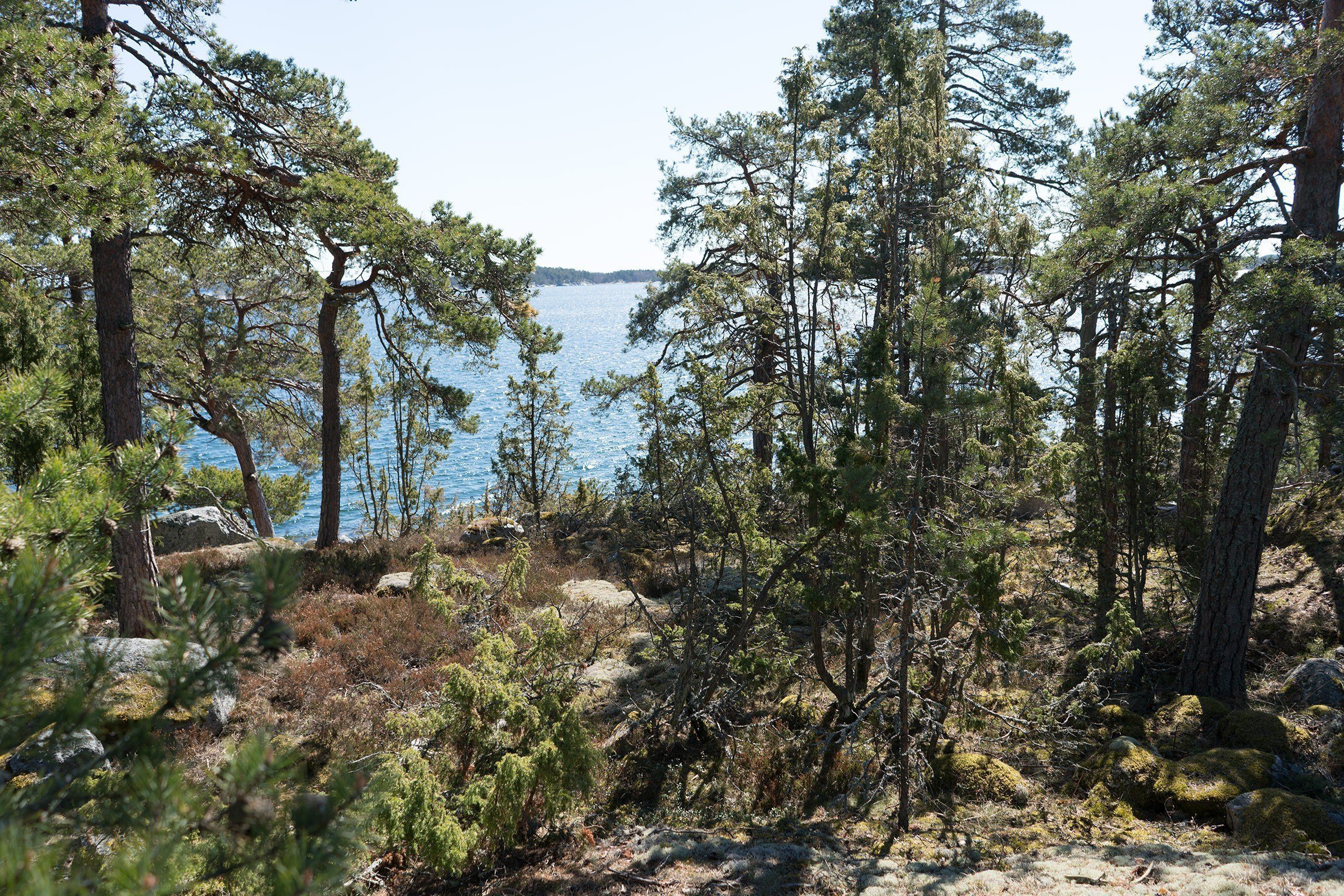 Dřevostavba u jezera