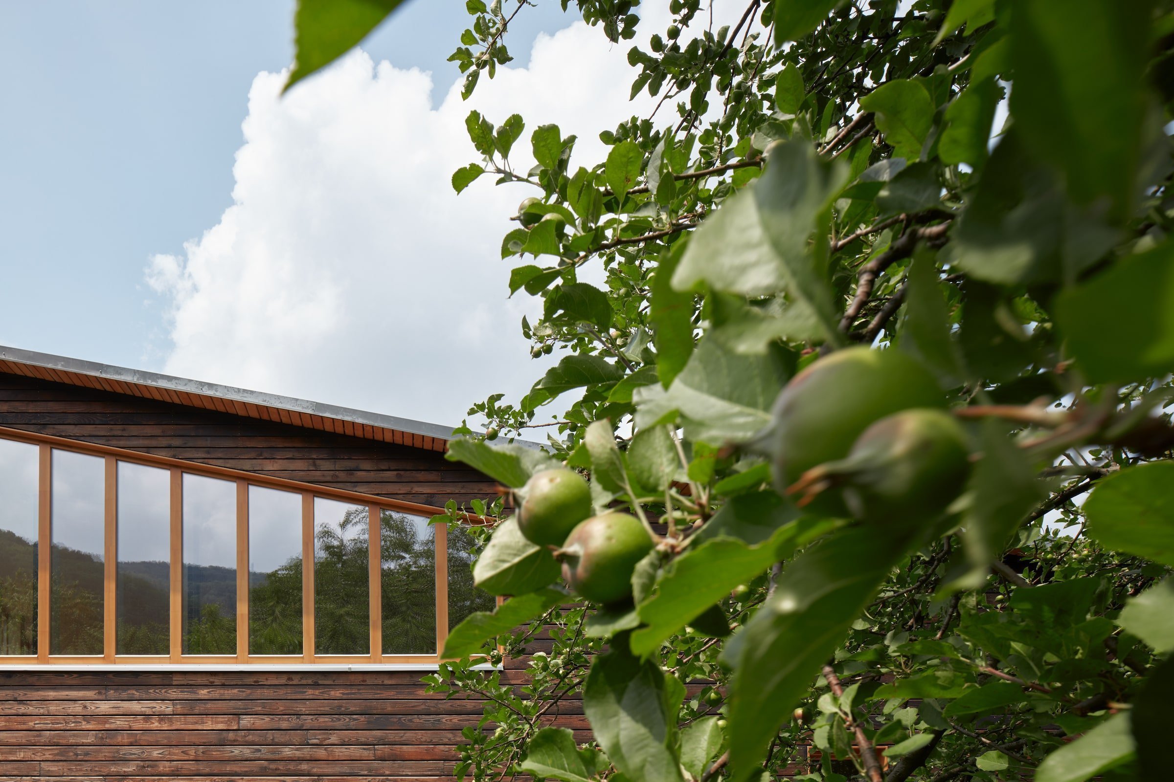 Dům inspirovaný valašskou architekturou