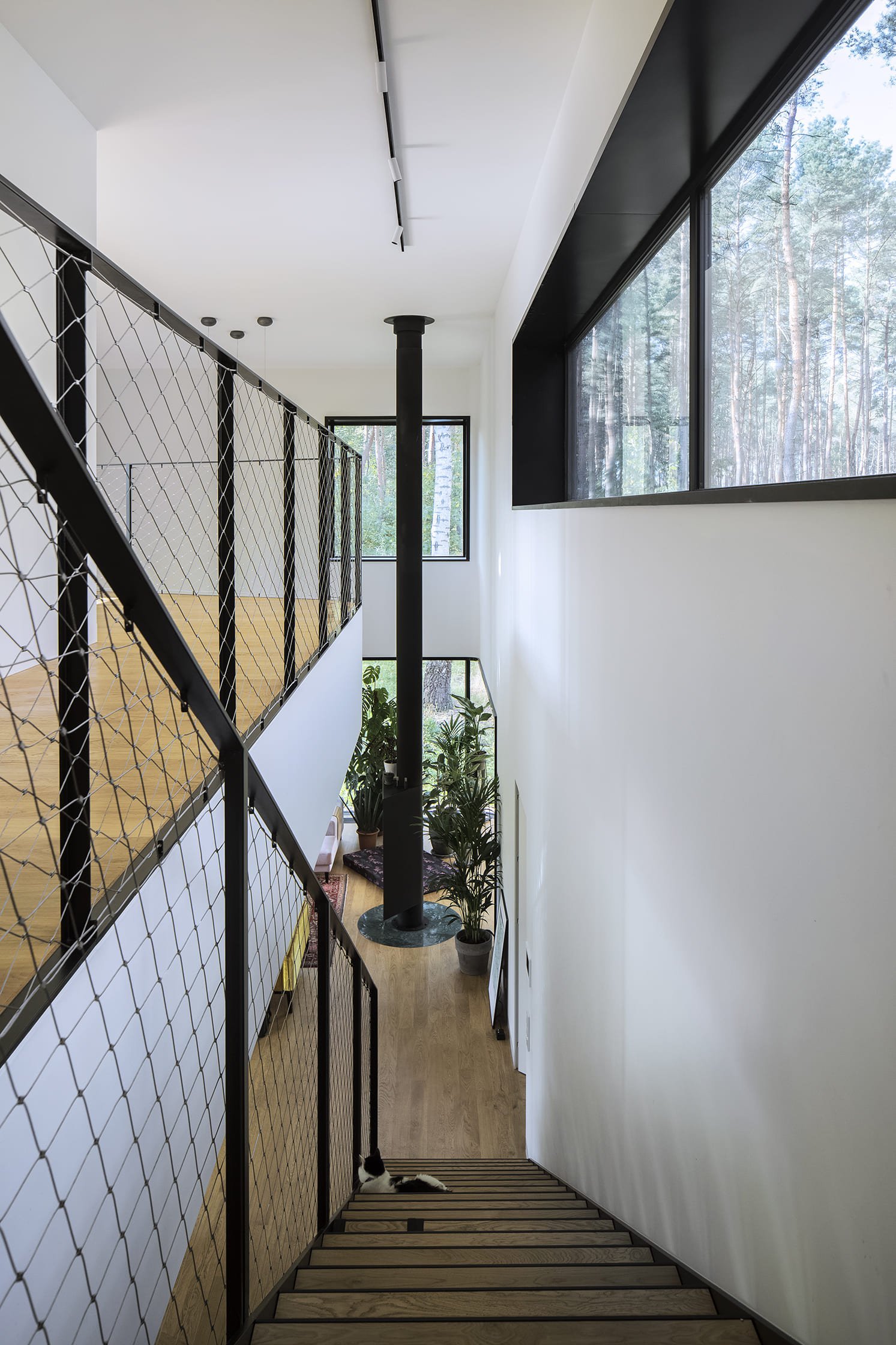 Dům mezi stromy, přesto v hlavním městě