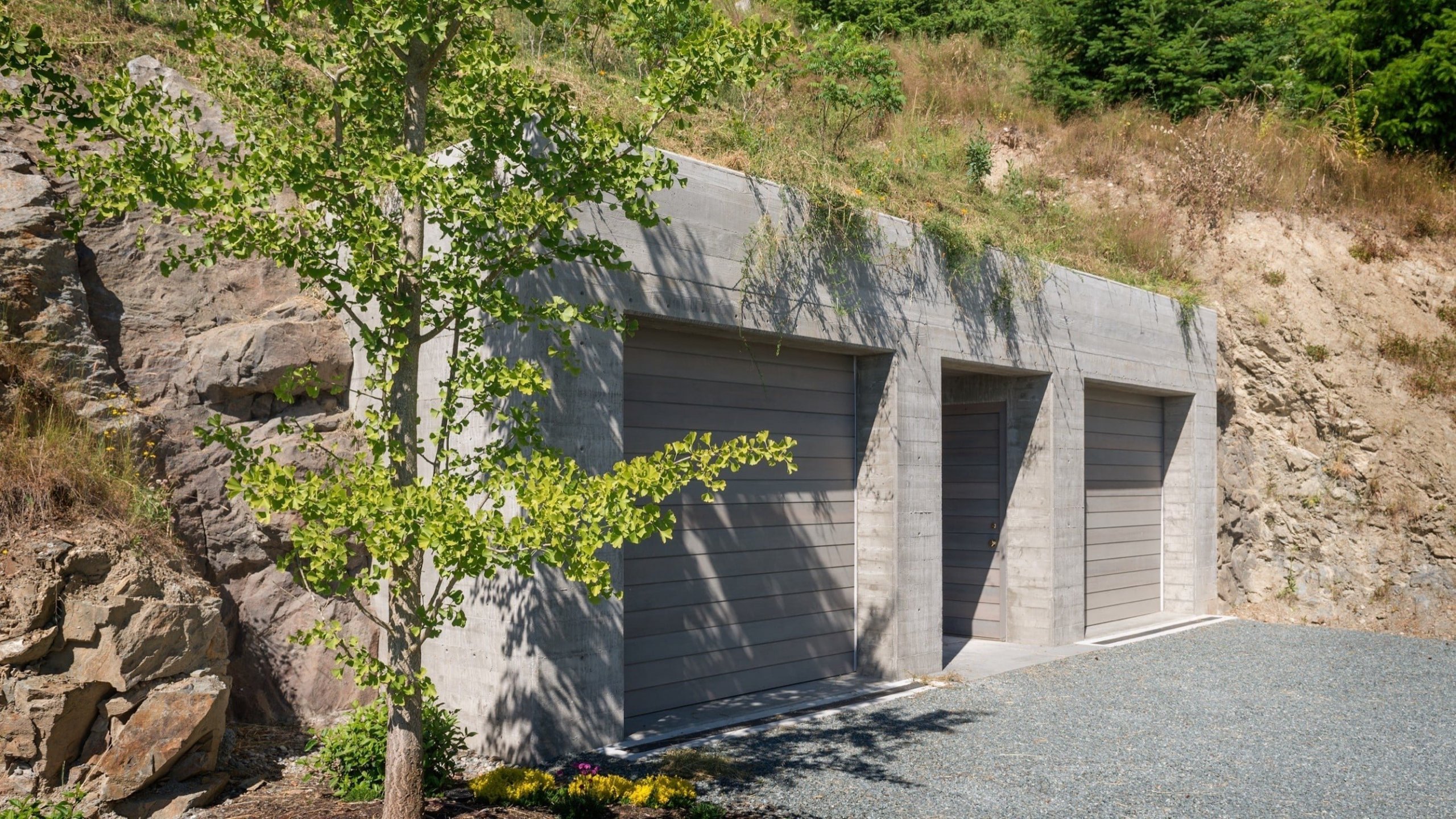 Dům obklopený přírodou