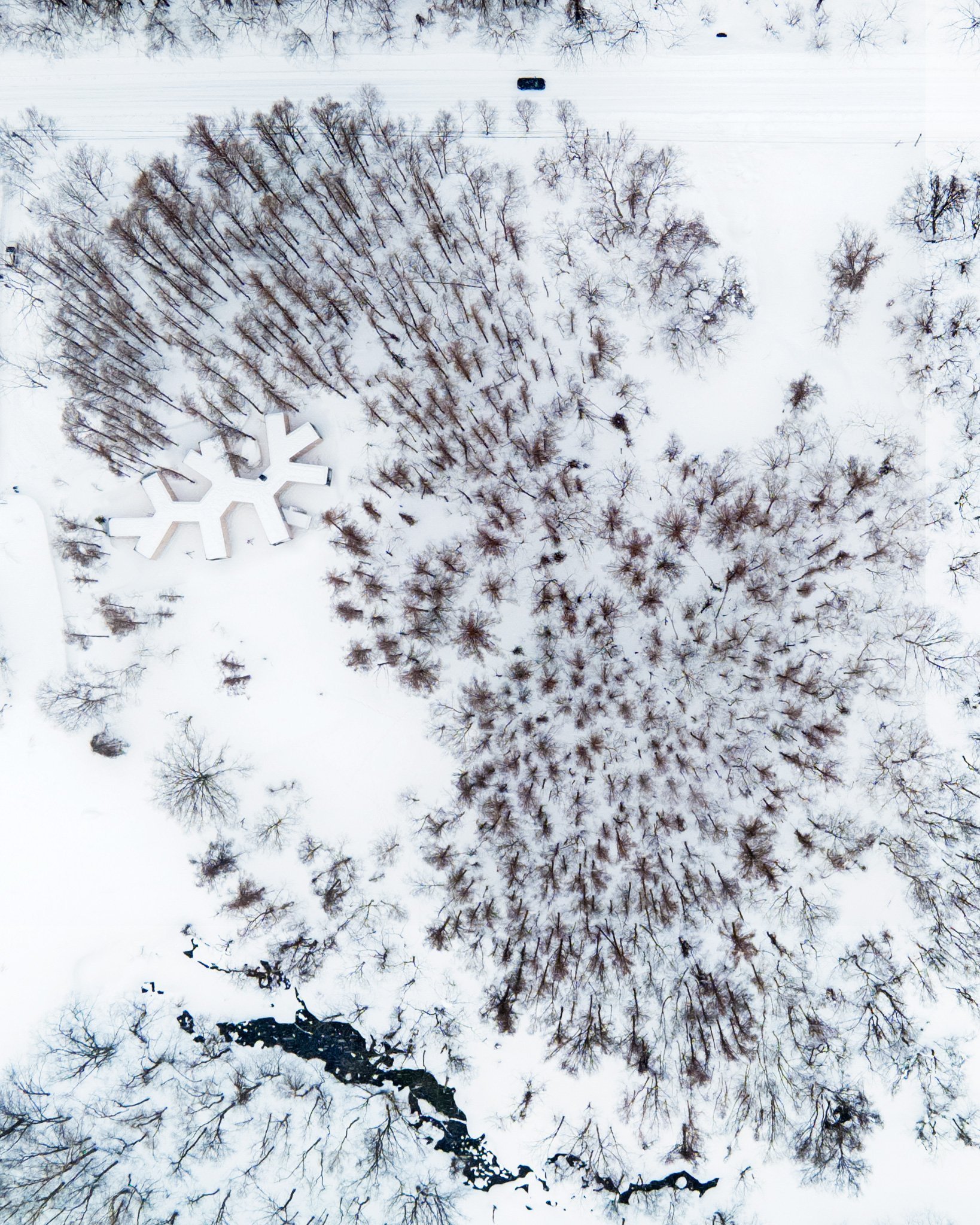 Dům propletený mezi stromy