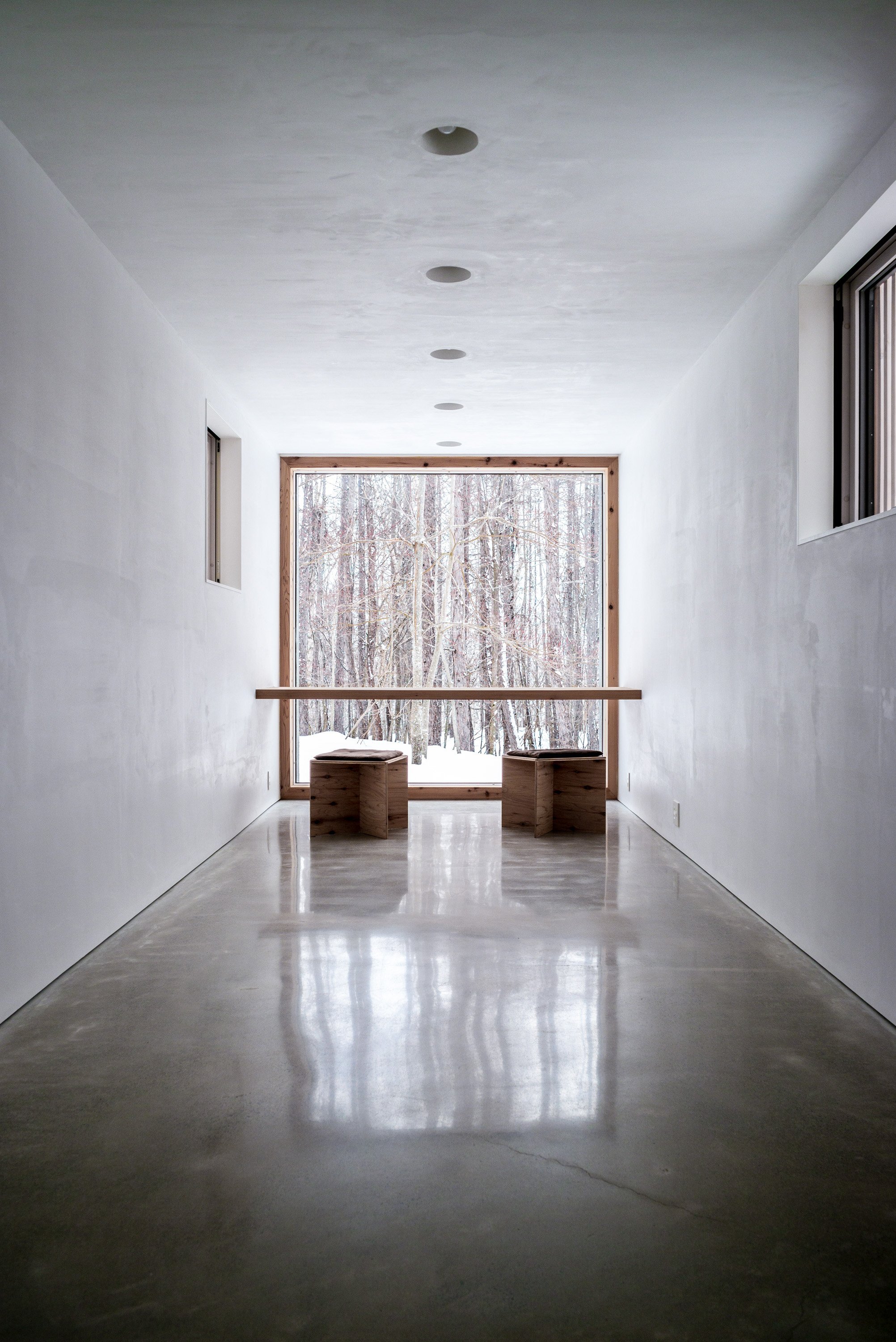 Dům propletený mezi stromy