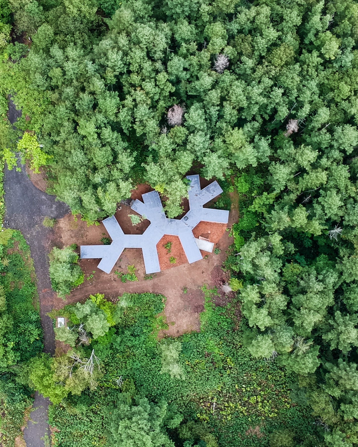 Dům propletený mezi stromy