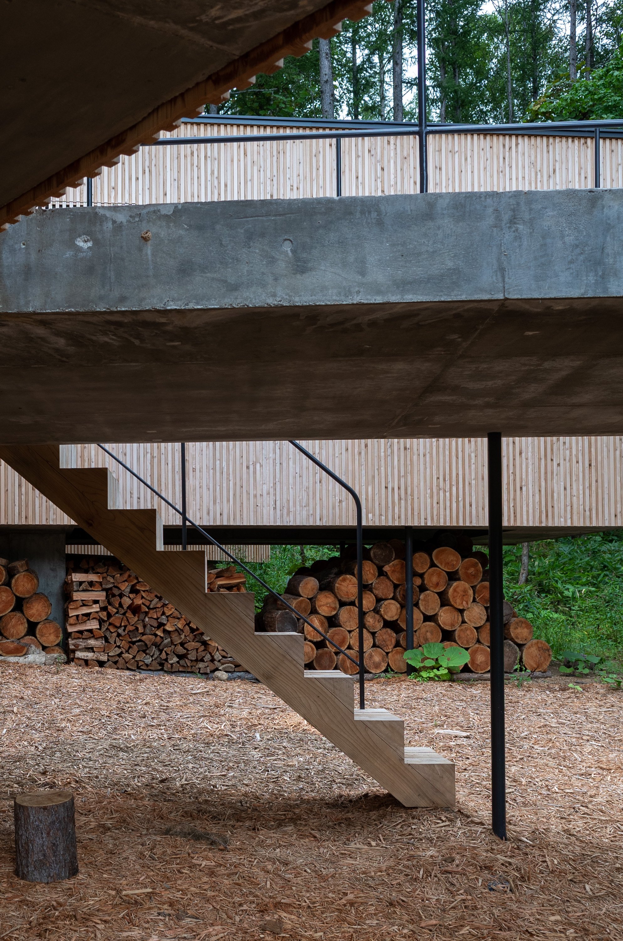 Dům propletený mezi stromy