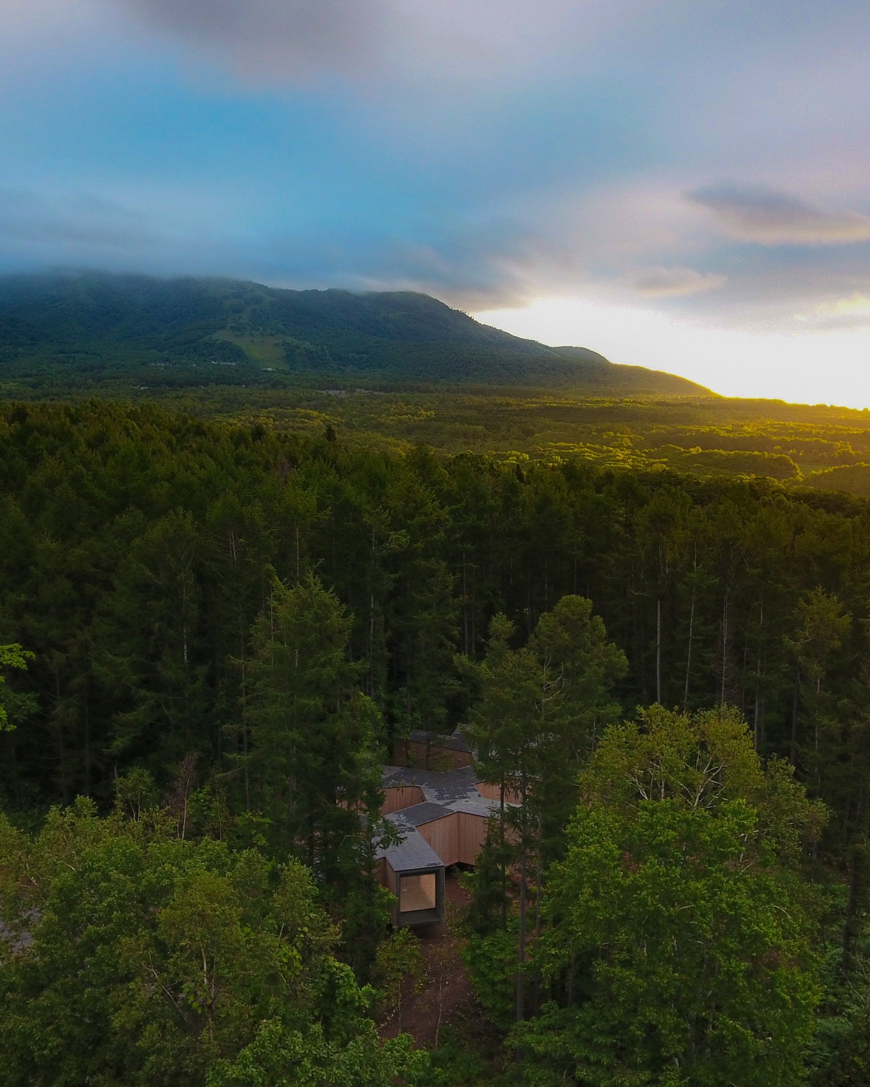 Dům propletený mezi stromy