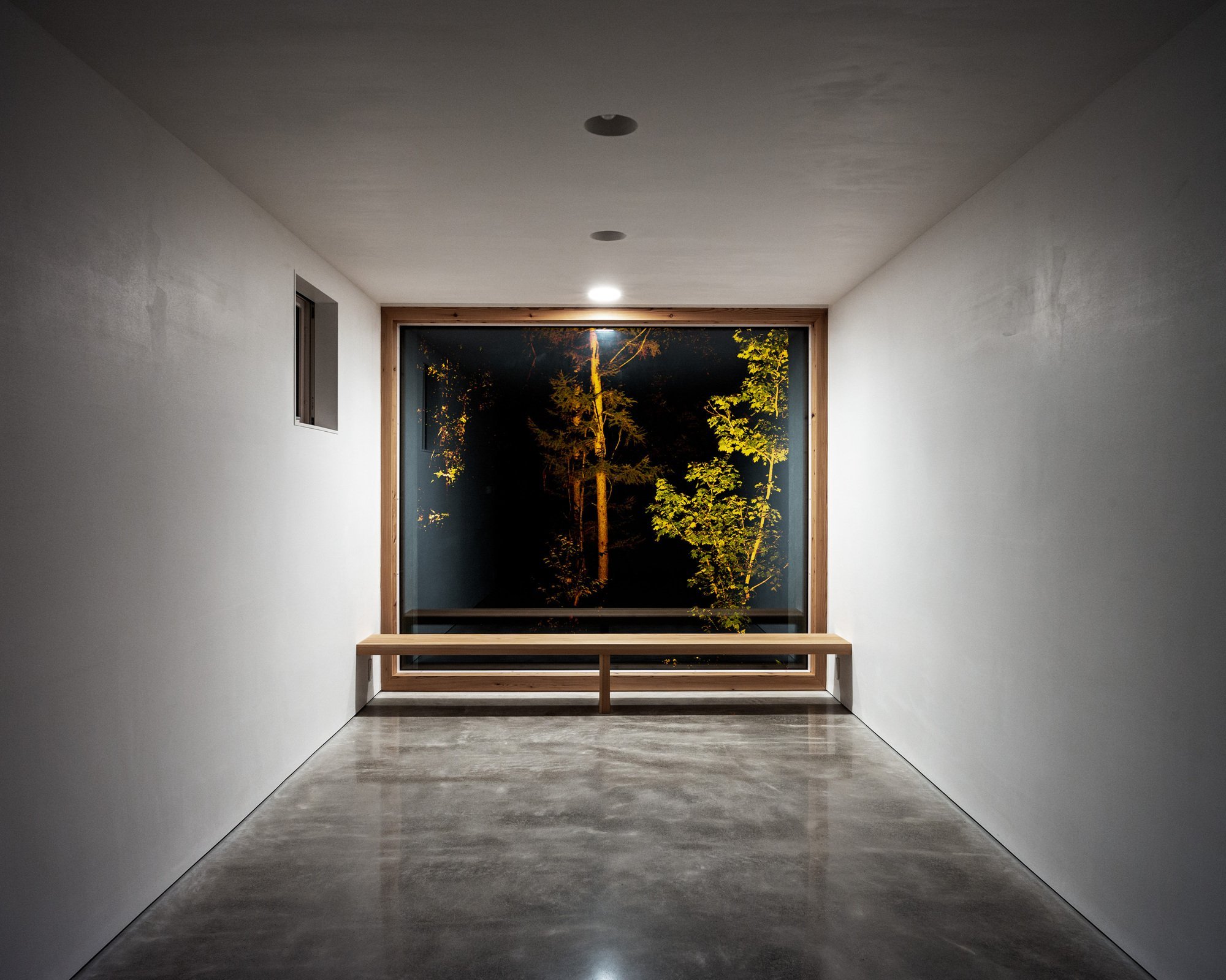 Dům propletený mezi stromy