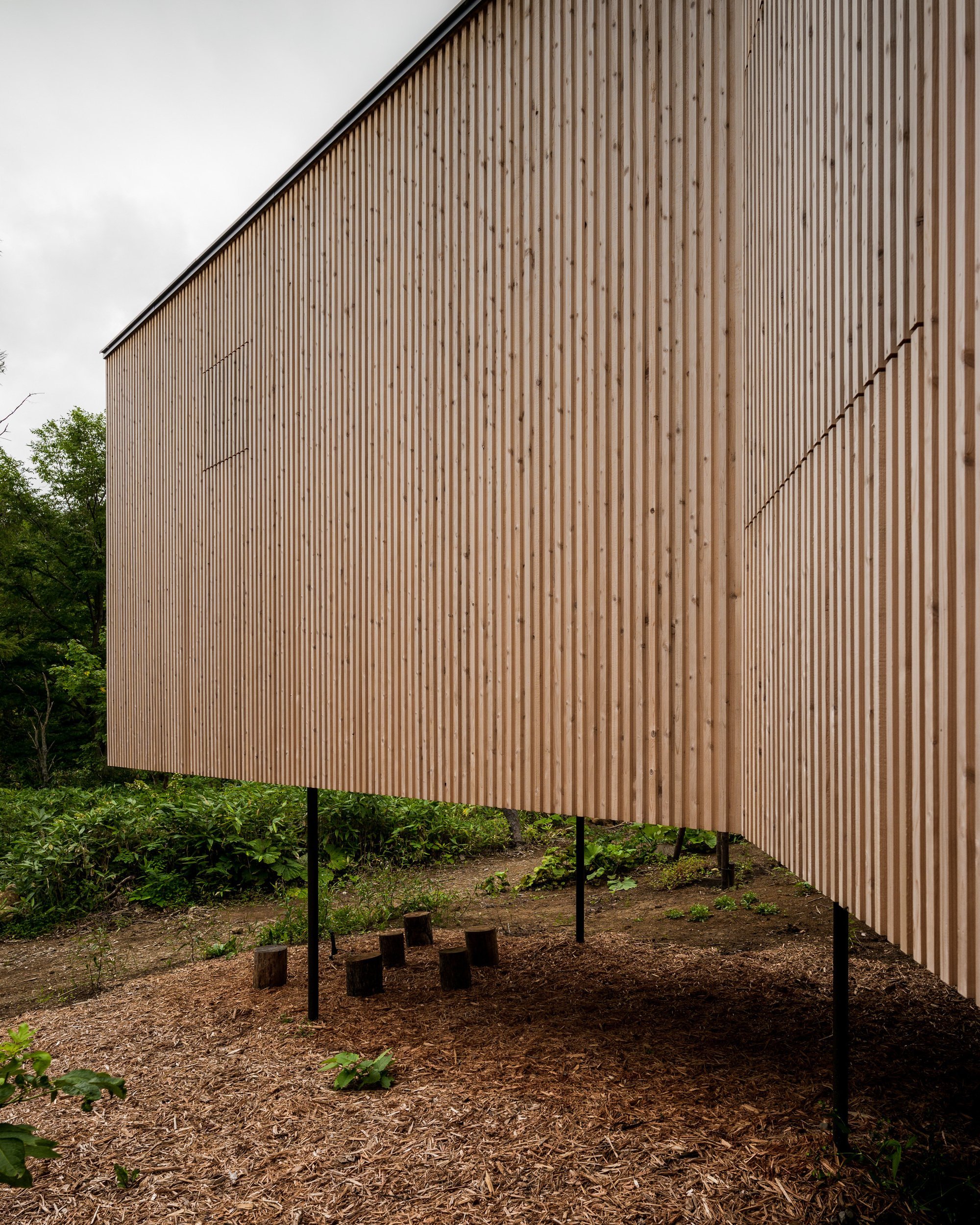 Dům propletený mezi stromy