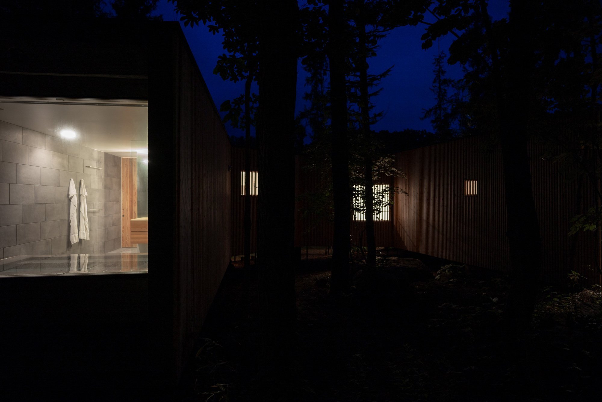 Dům propletený mezi stromy