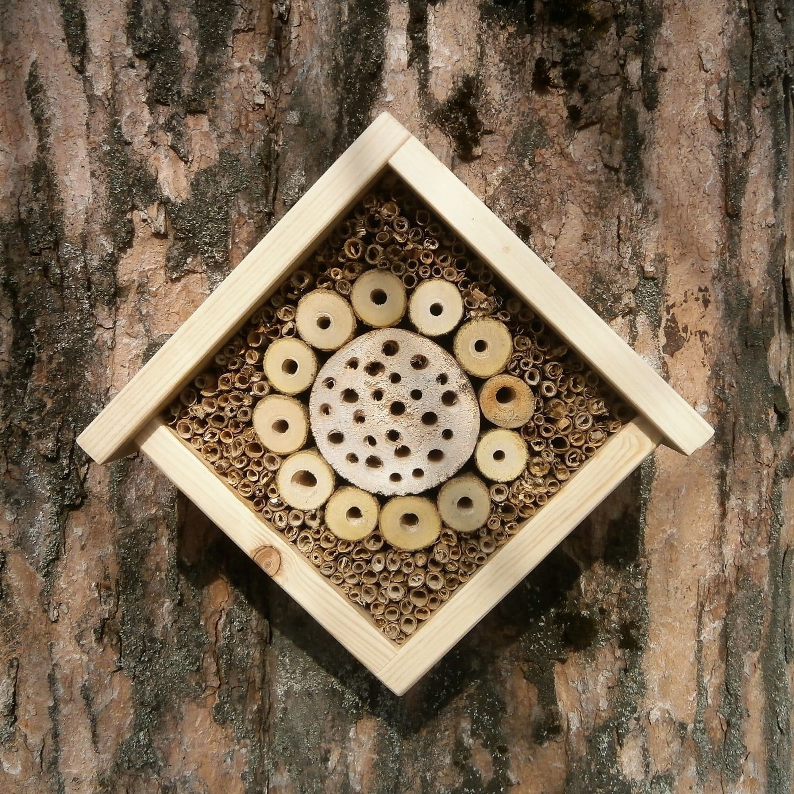 Hmyzí hotel pro užitečné pomocníky