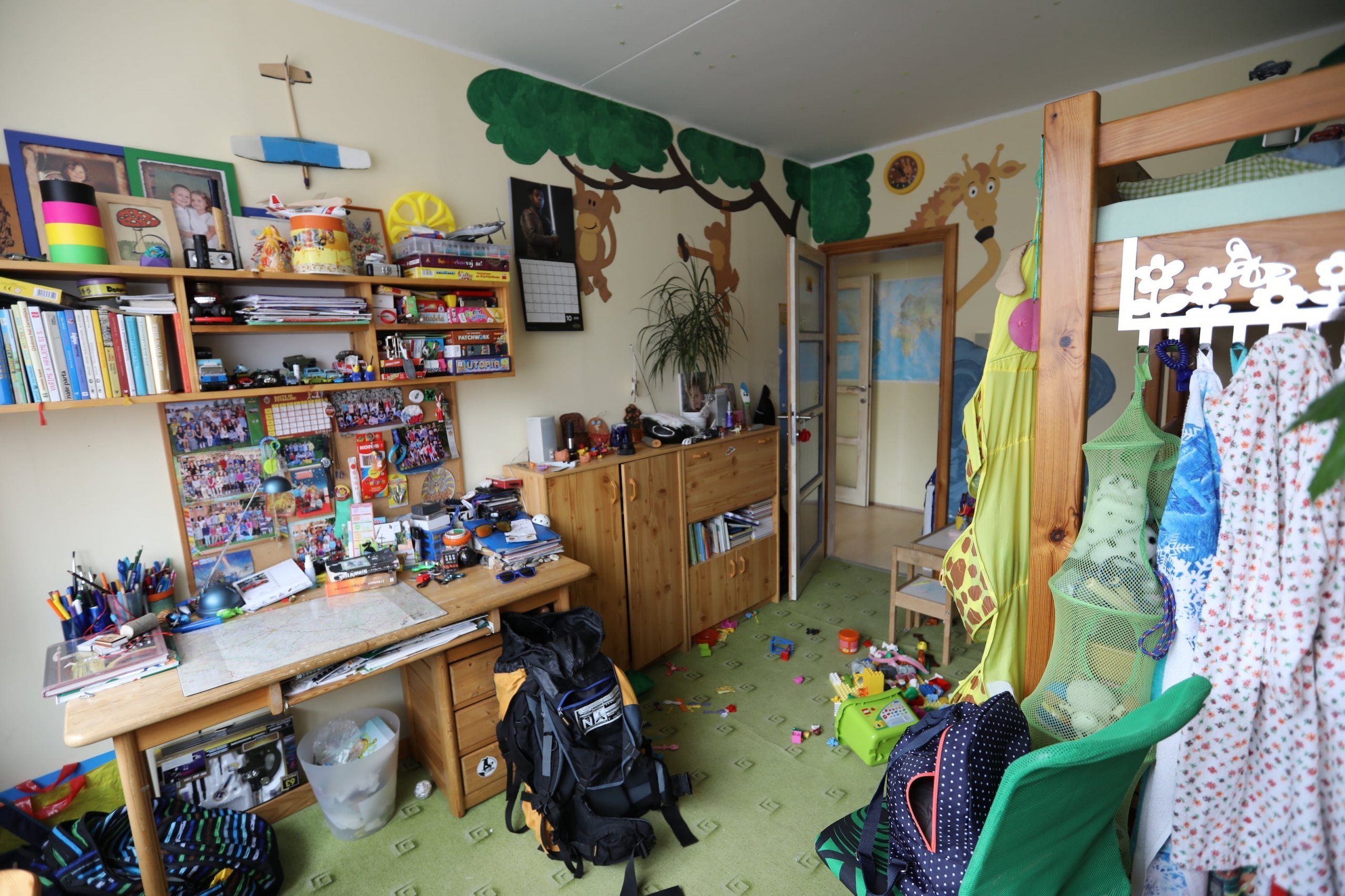 Jak se staví sen 2019 – 3. díl