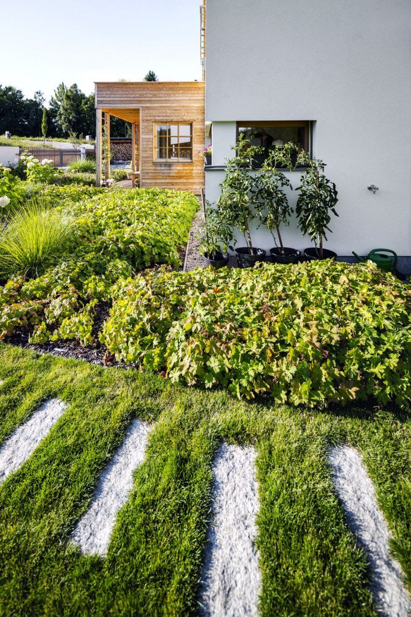 Japonská zahrada s dešťovým jezírkem
