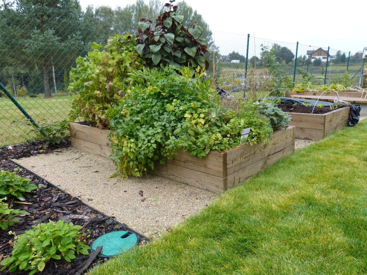 Japonská zahrada s dešťovým jezírkem