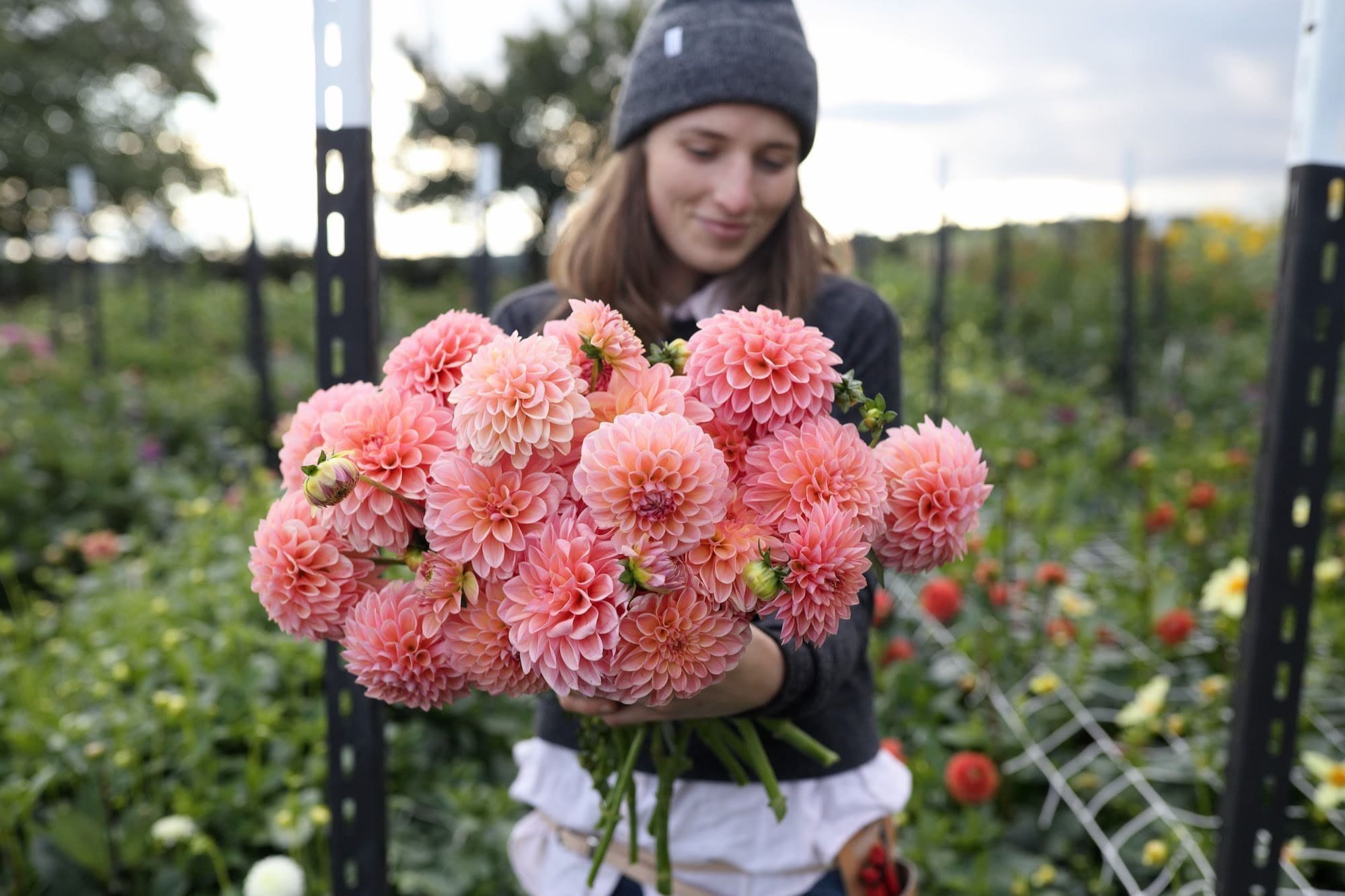 Jiřina Linda's Baby