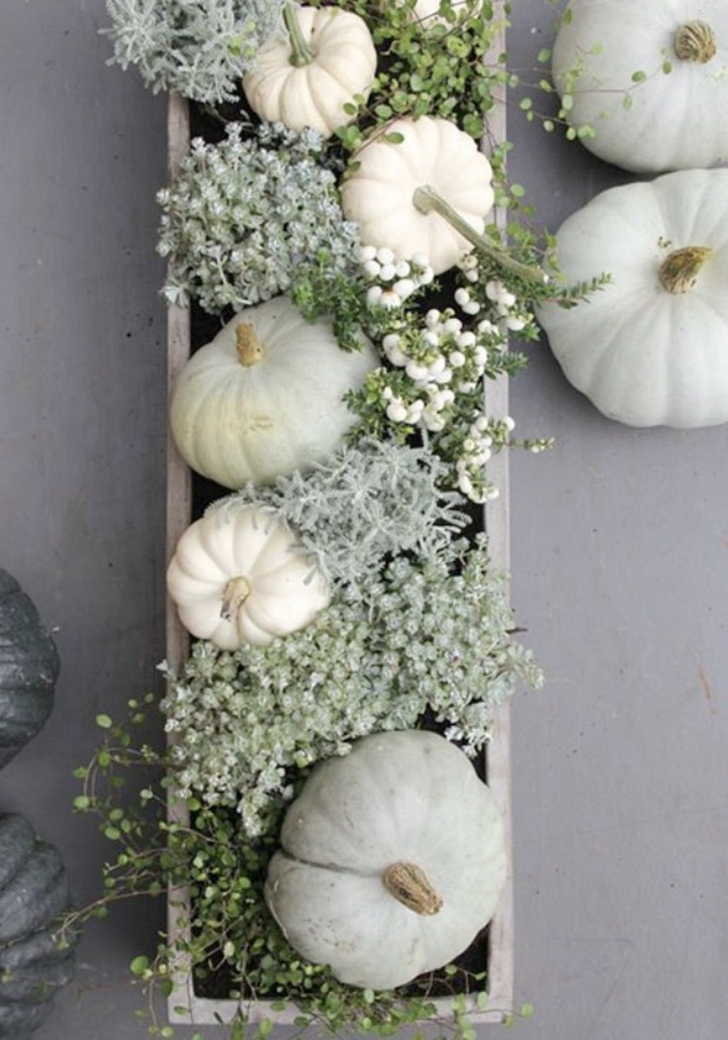 K podzimu patří dýně