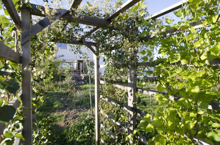 Malá rodinná usedlost plná dynamiky