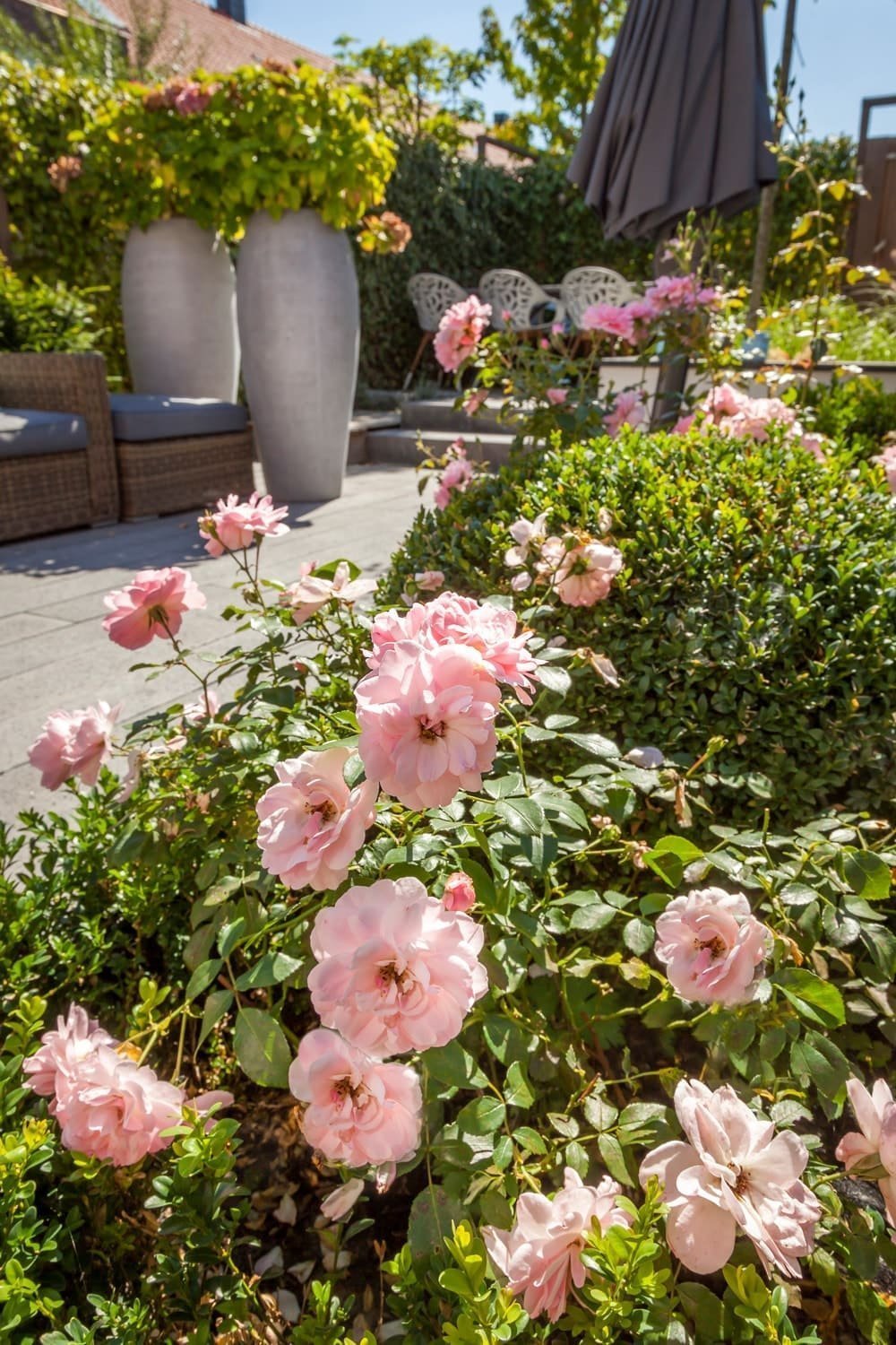 Malá zahrada za domem slouží především k odpočinku