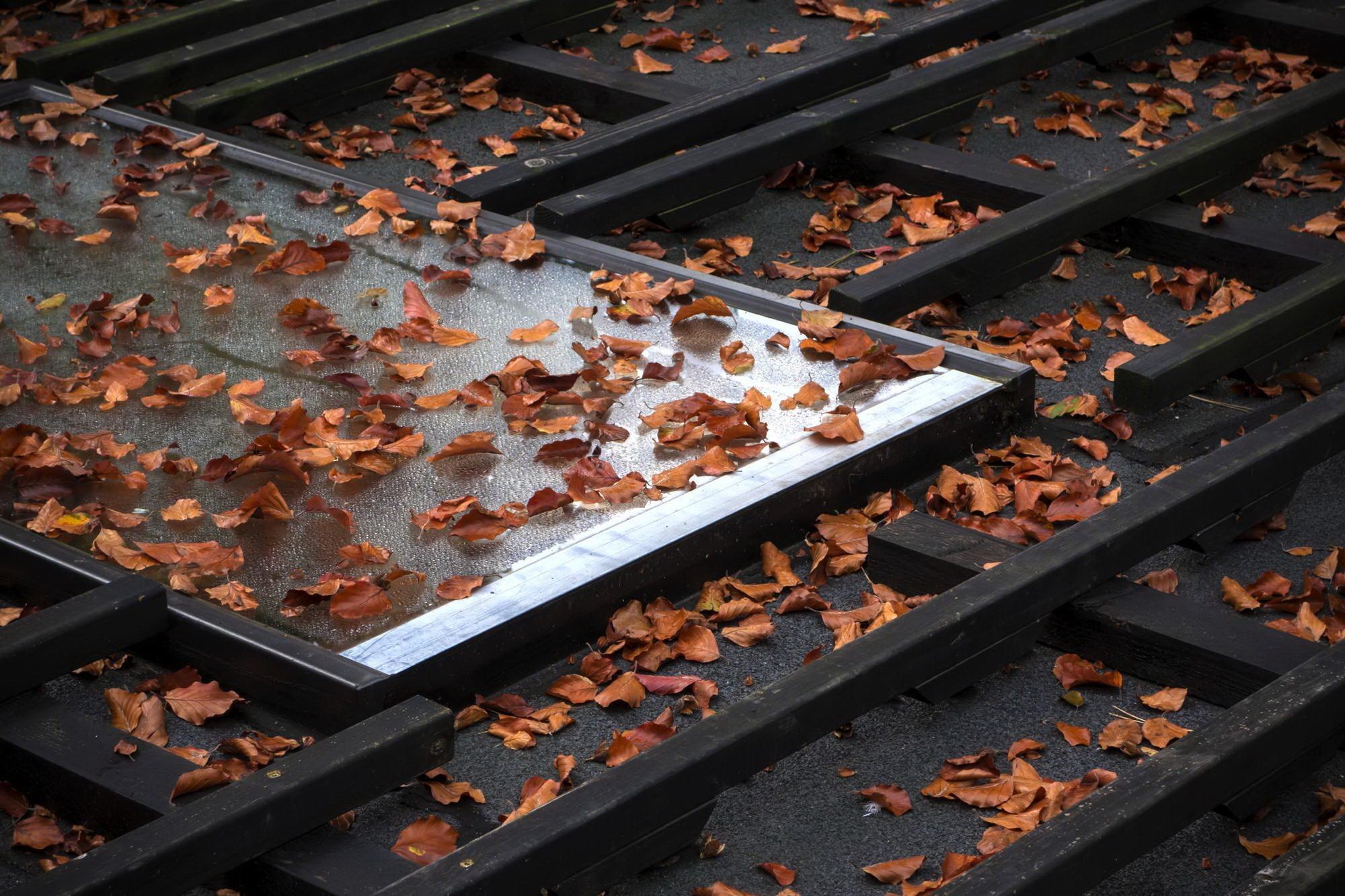 Minimalistická dostavba Black Wood House