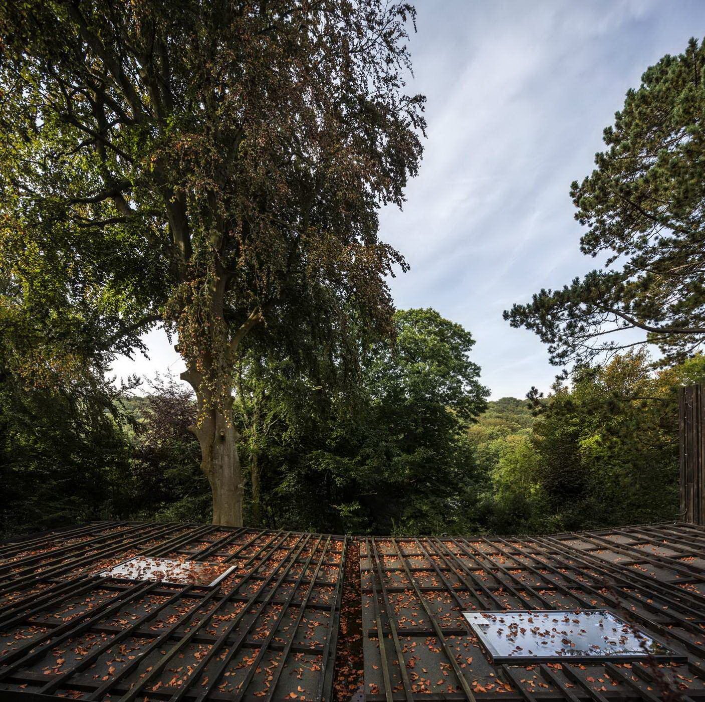 Minimalistická dostavba Black Wood House