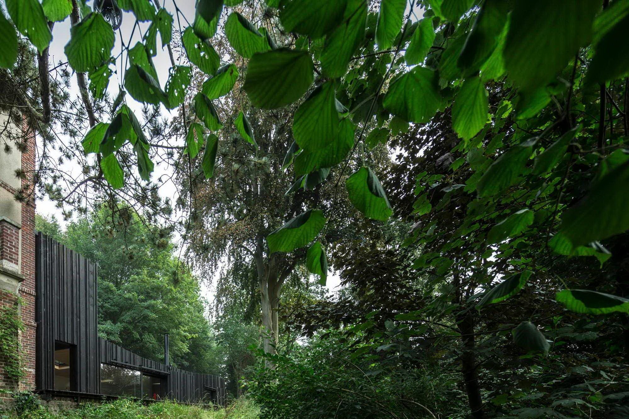 Minimalistická dostavba Black Wood House