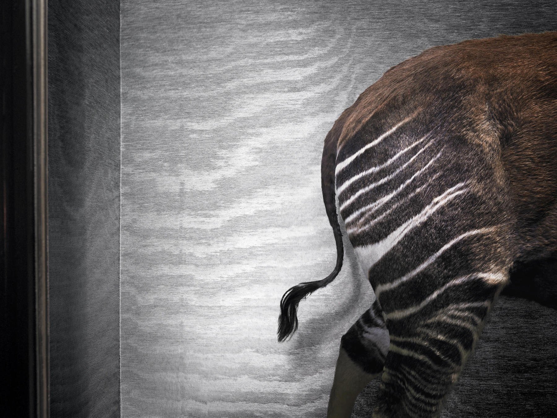 Moderní vliesové tapety – svěžest až na půdu