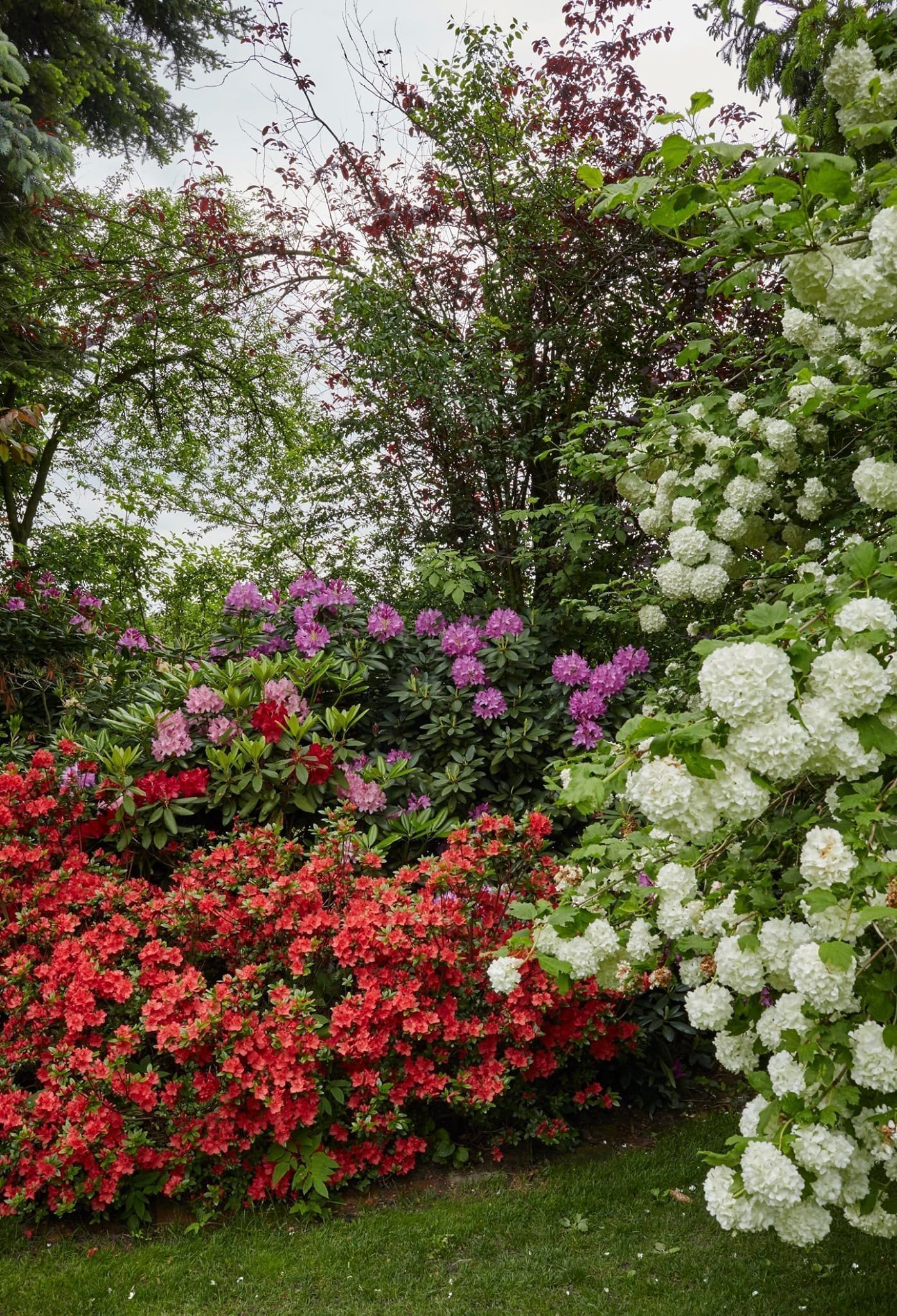 Originální interiér domu s bazénem