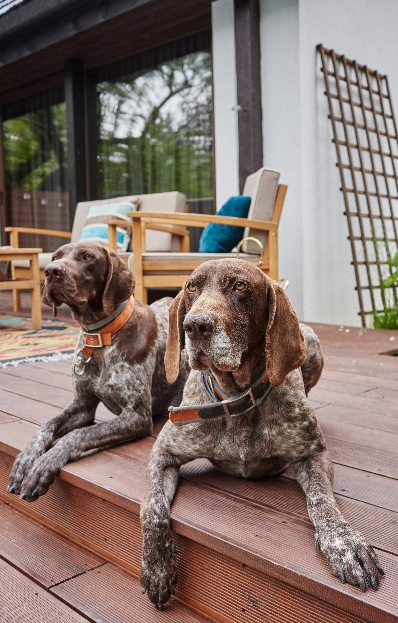 Originální interiér domu s bazénem