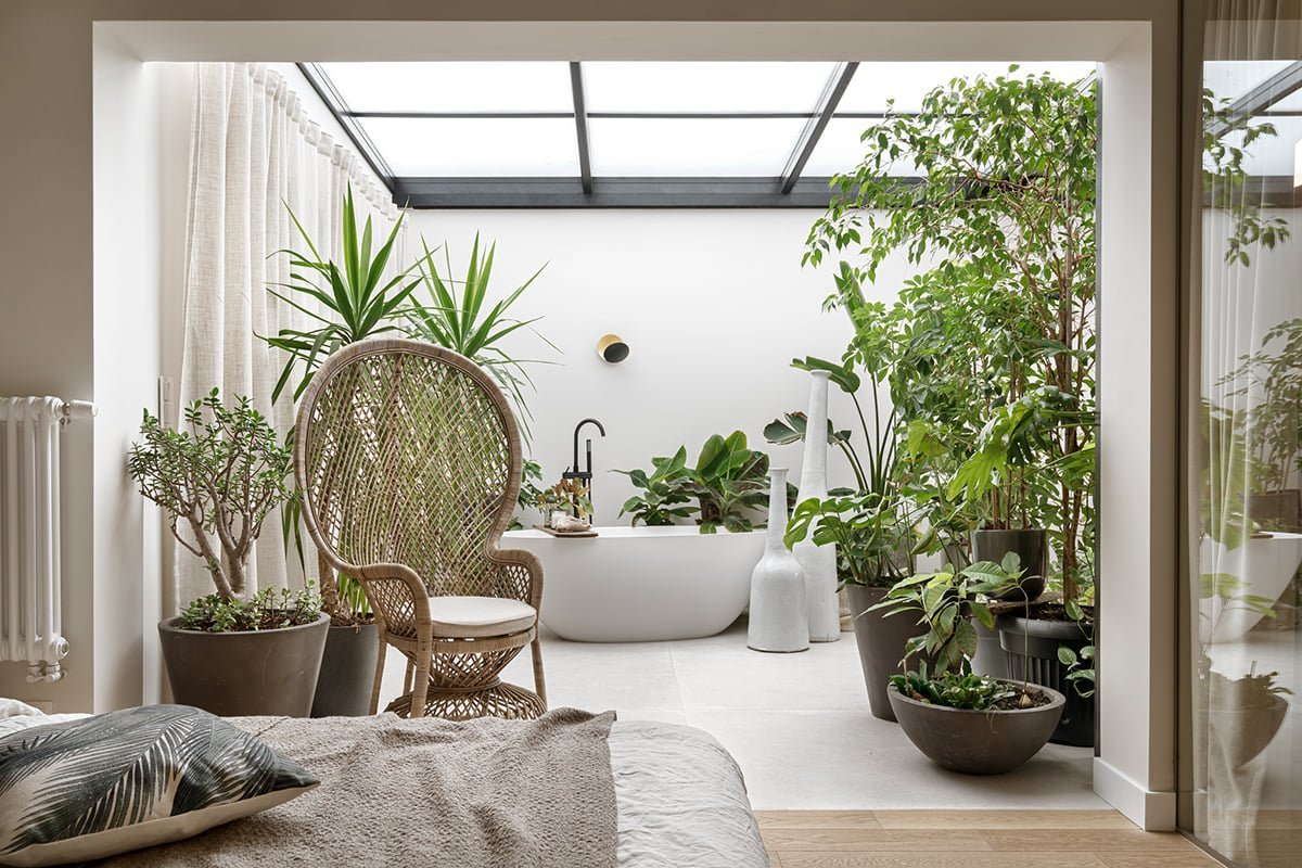 Pokojové rostliny jako módní prvek v interiéru