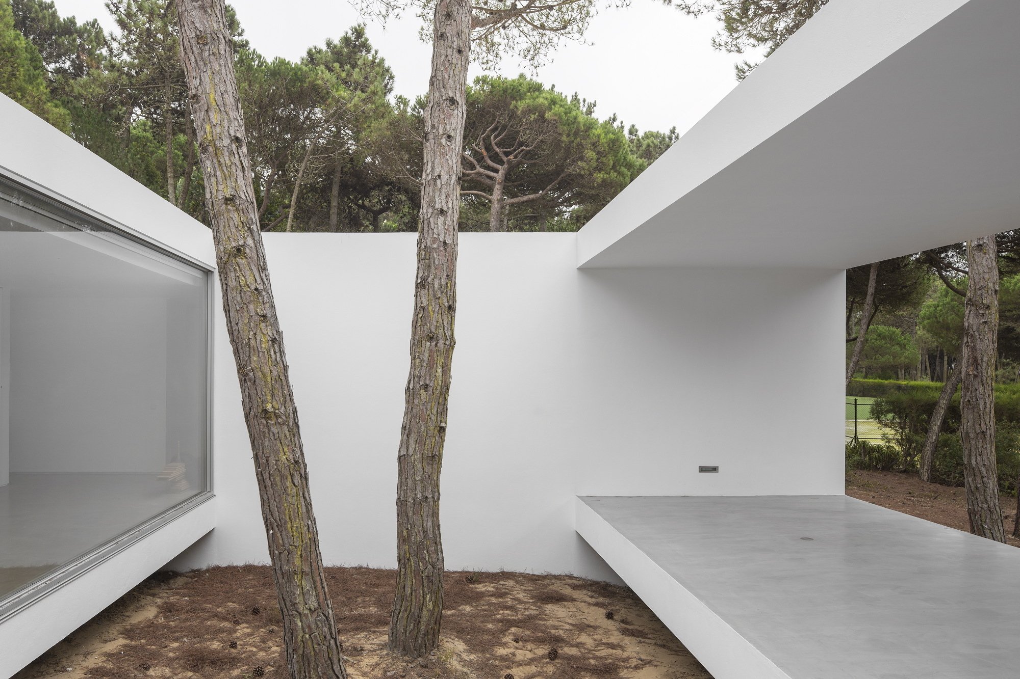 Prázdninový dům v borovém lese