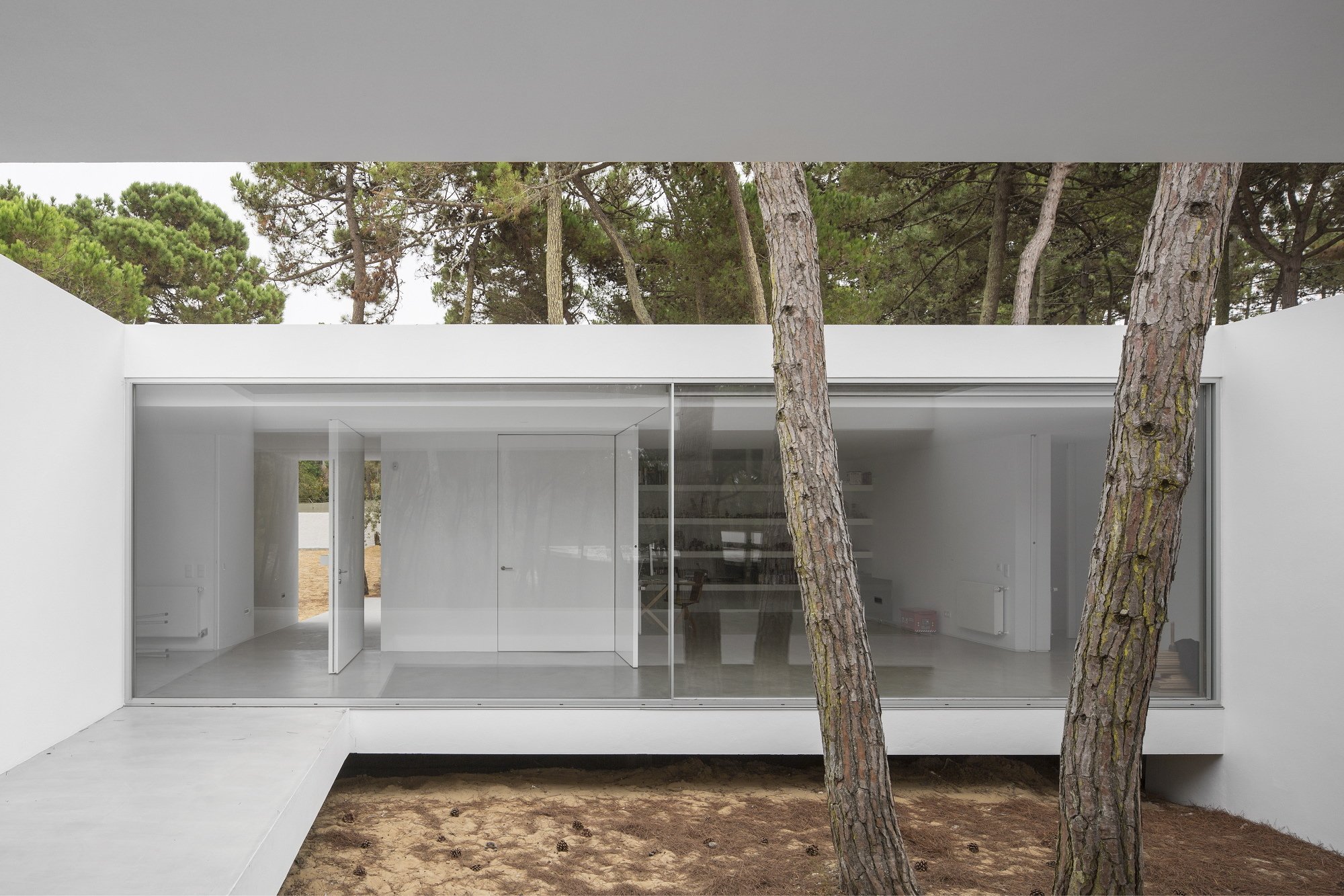 Prázdninový dům v borovém lese