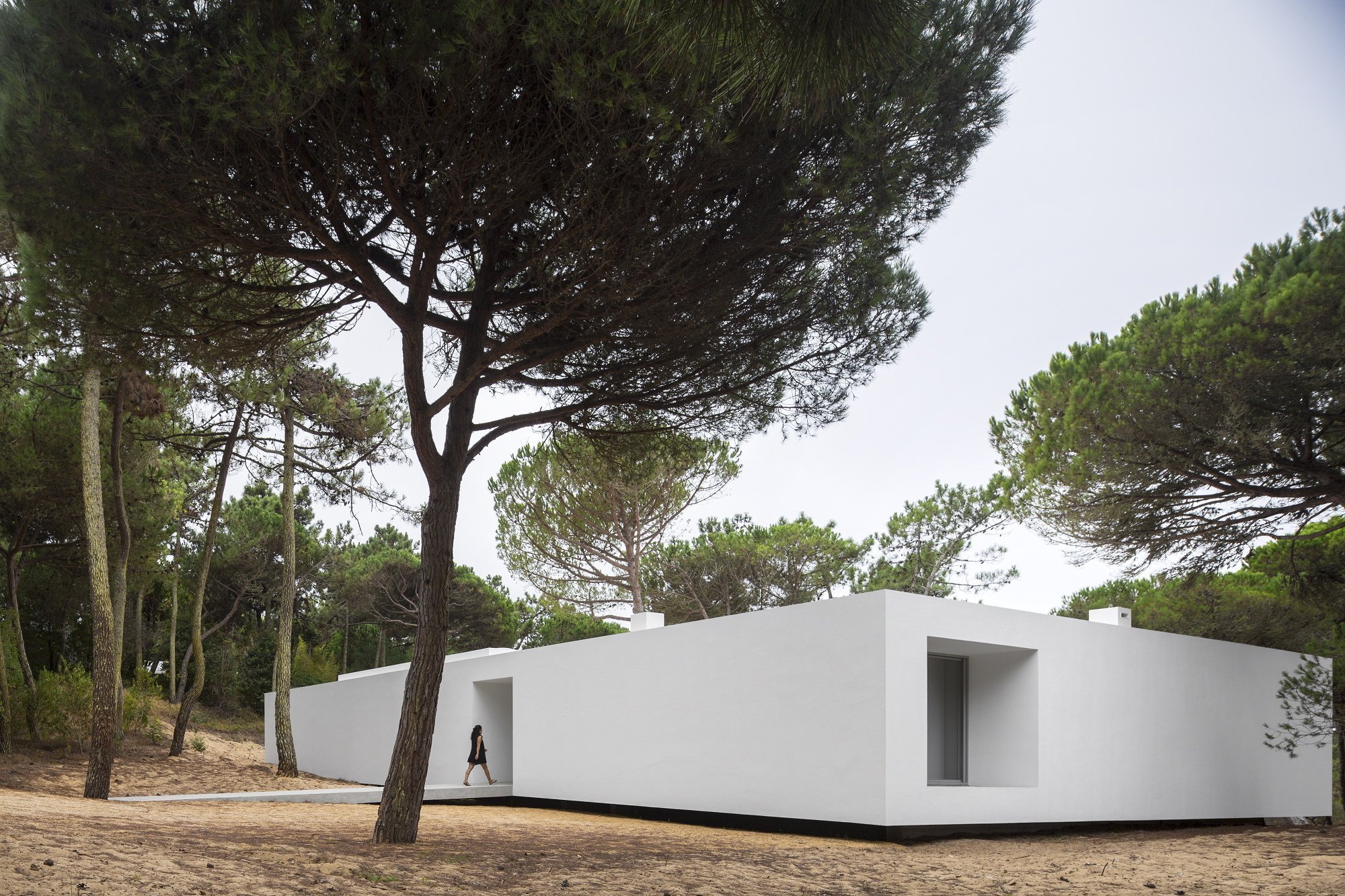 Prázdninový dům v borovém lese