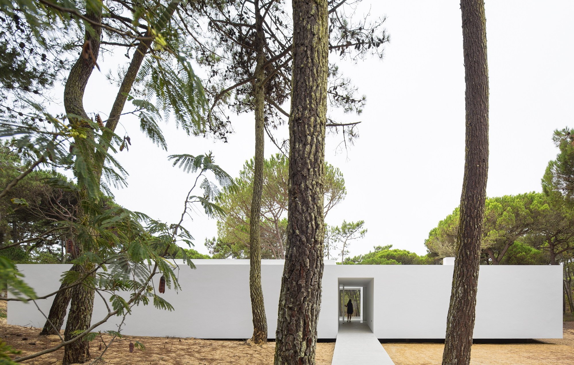 Prázdninový dům v borovém lese