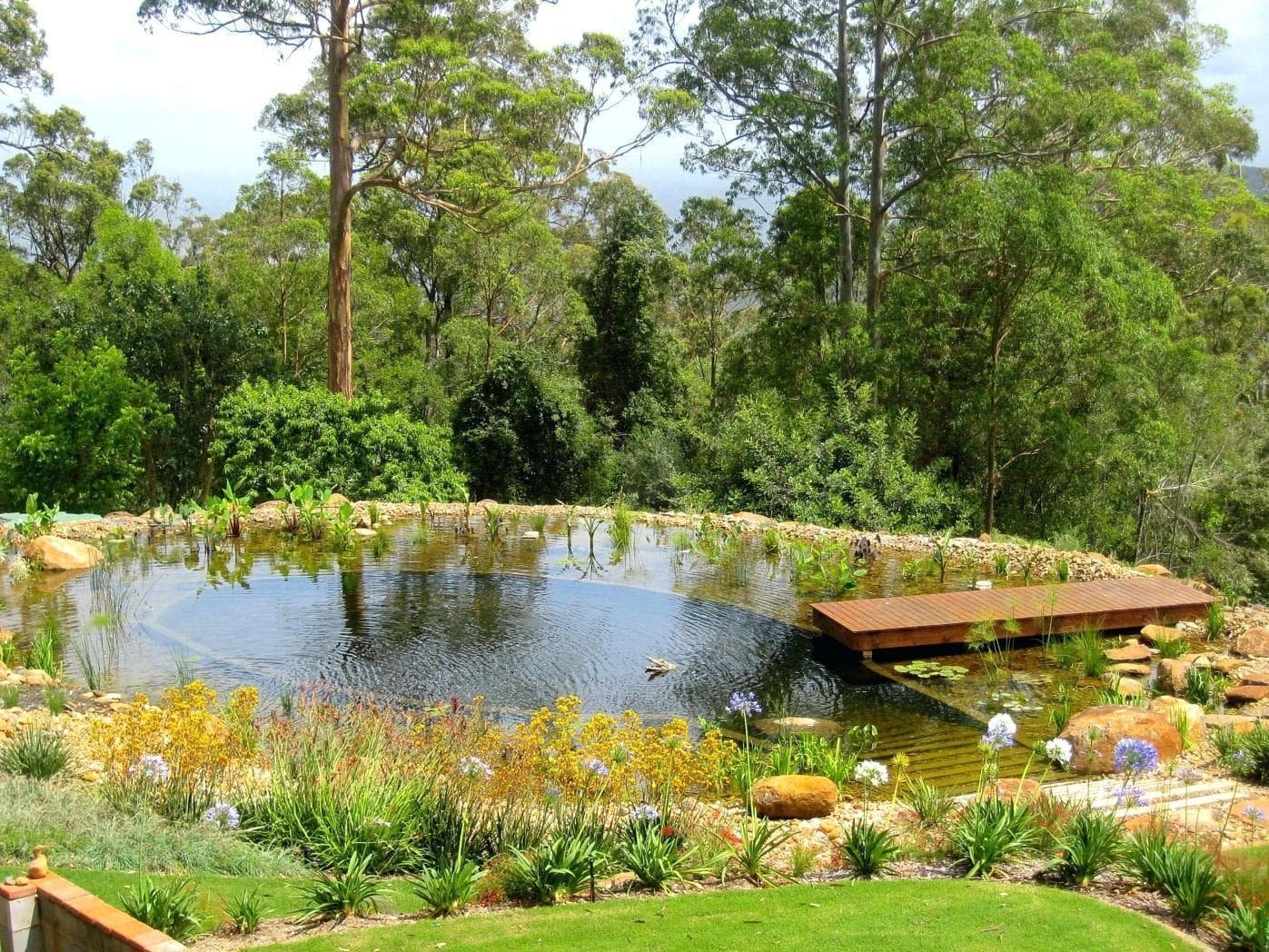 Přírodní koupací jezírko – kouzelný biotop bez chemie