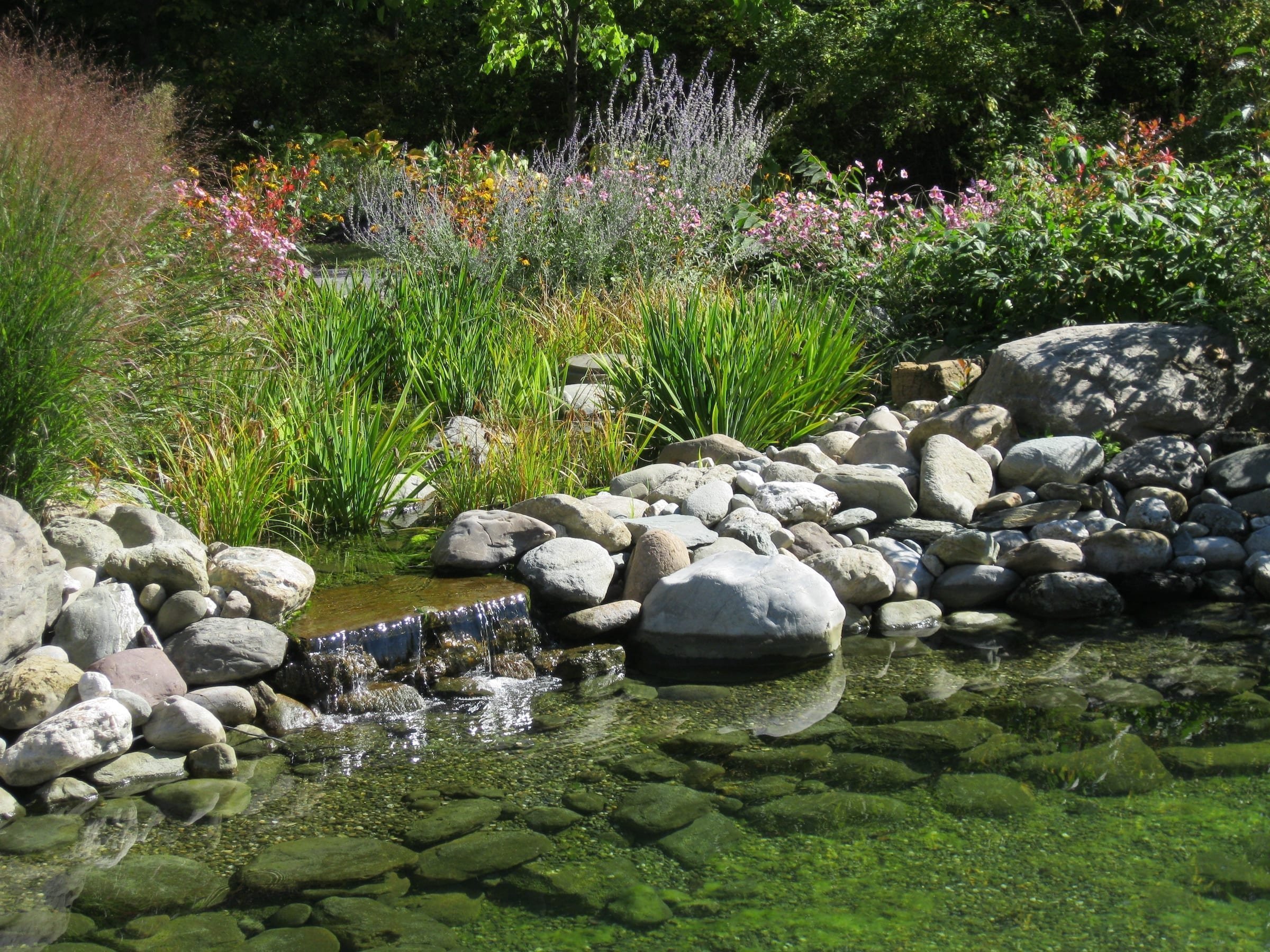Přírodní koupací jezírko – kouzelný biotop bez chemie