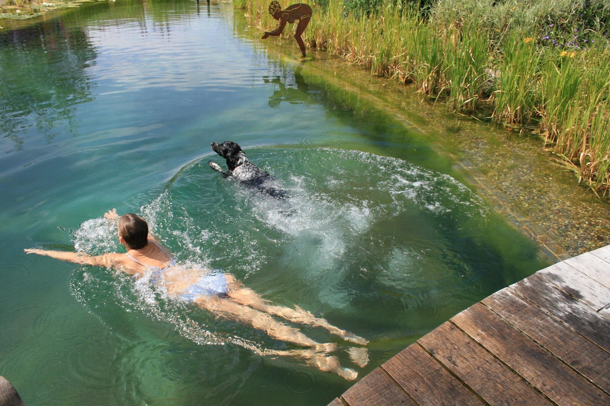 Přírodní koupací jezírko – kouzelný biotop bez chemie