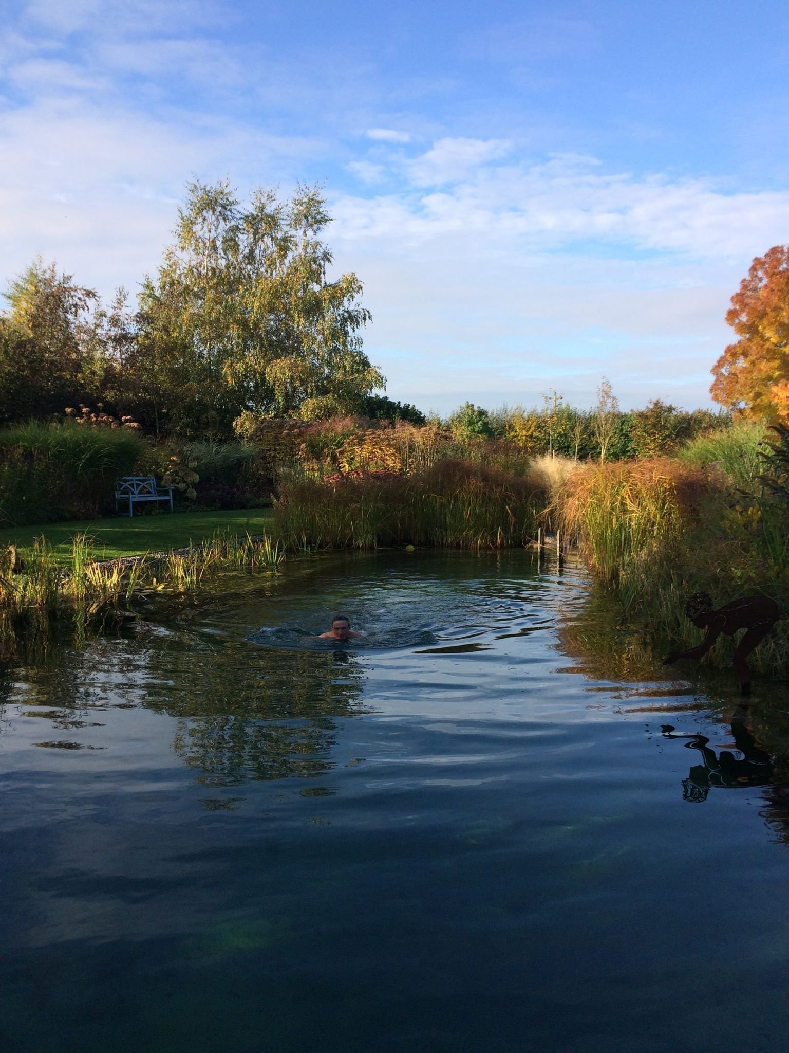 Přírodní koupací jezírko – kouzelný biotop bez chemie