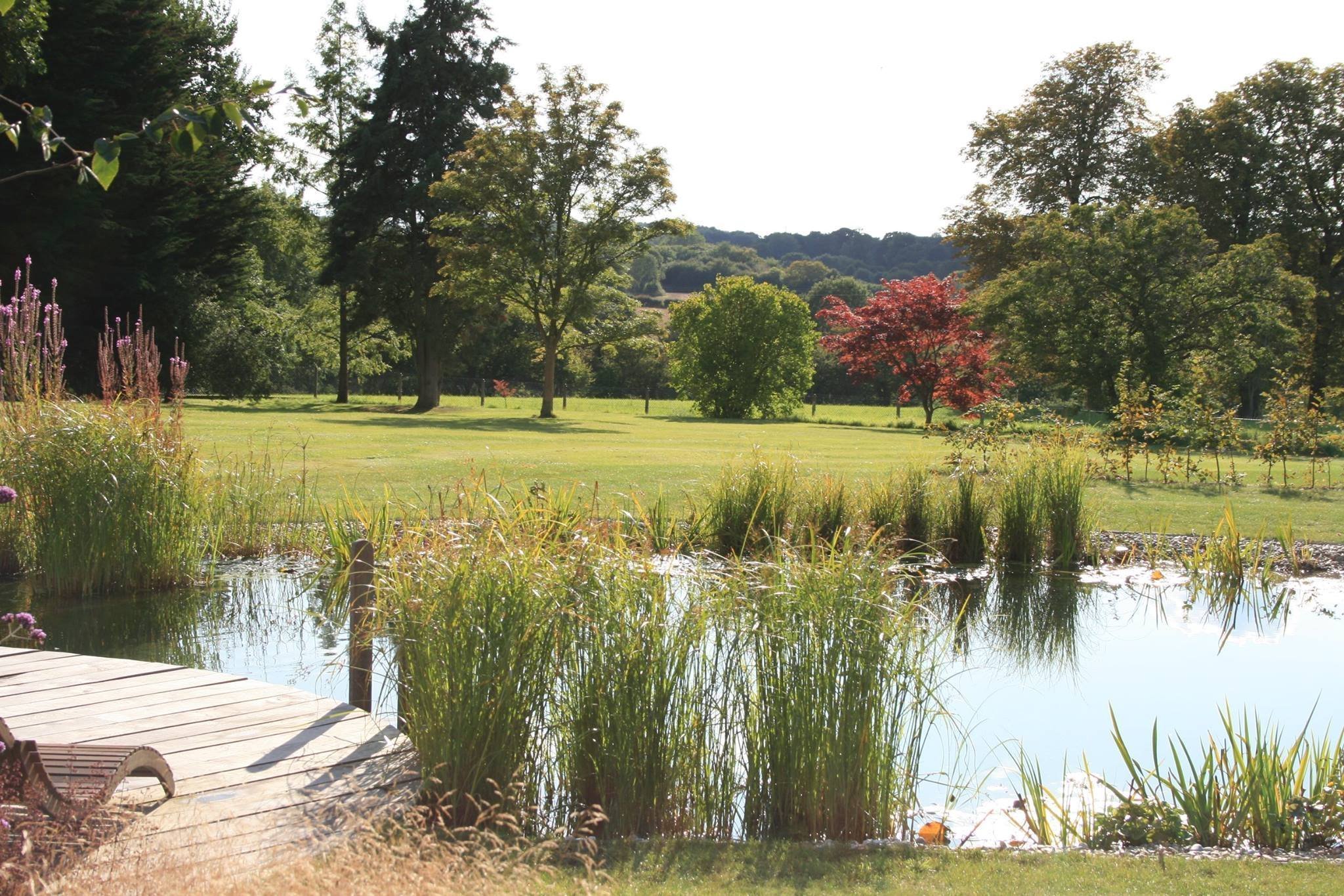Přírodní koupací jezírko – kouzelný biotop bez chemie