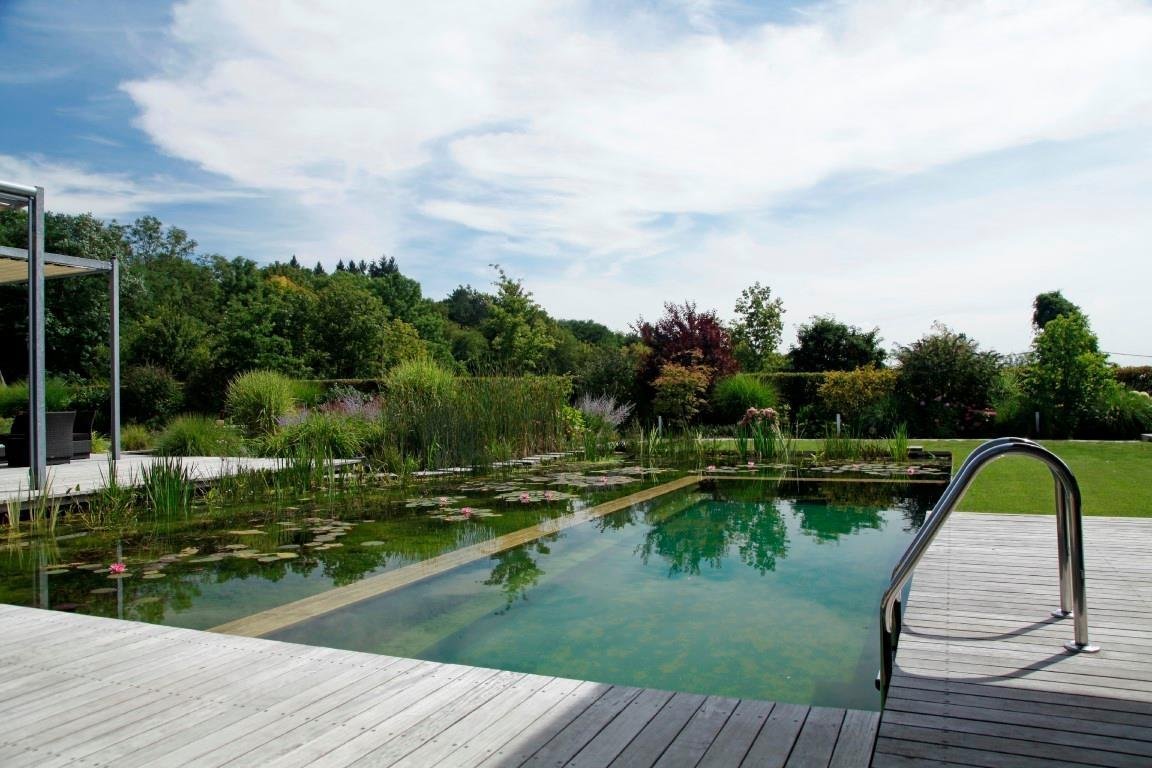 Přírodní koupací jezírko – kouzelný biotop bez chemie